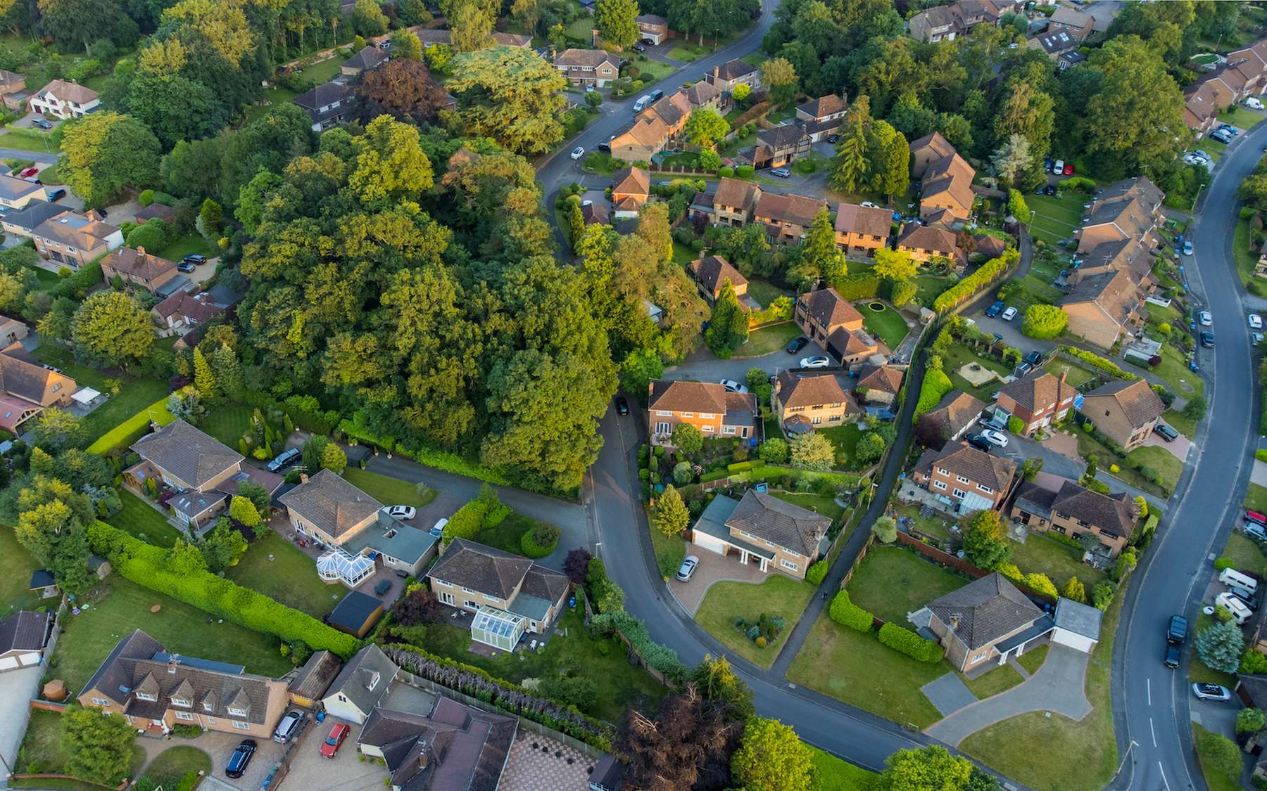 Les mini-forêts, une solution au réchauffement climatique ?