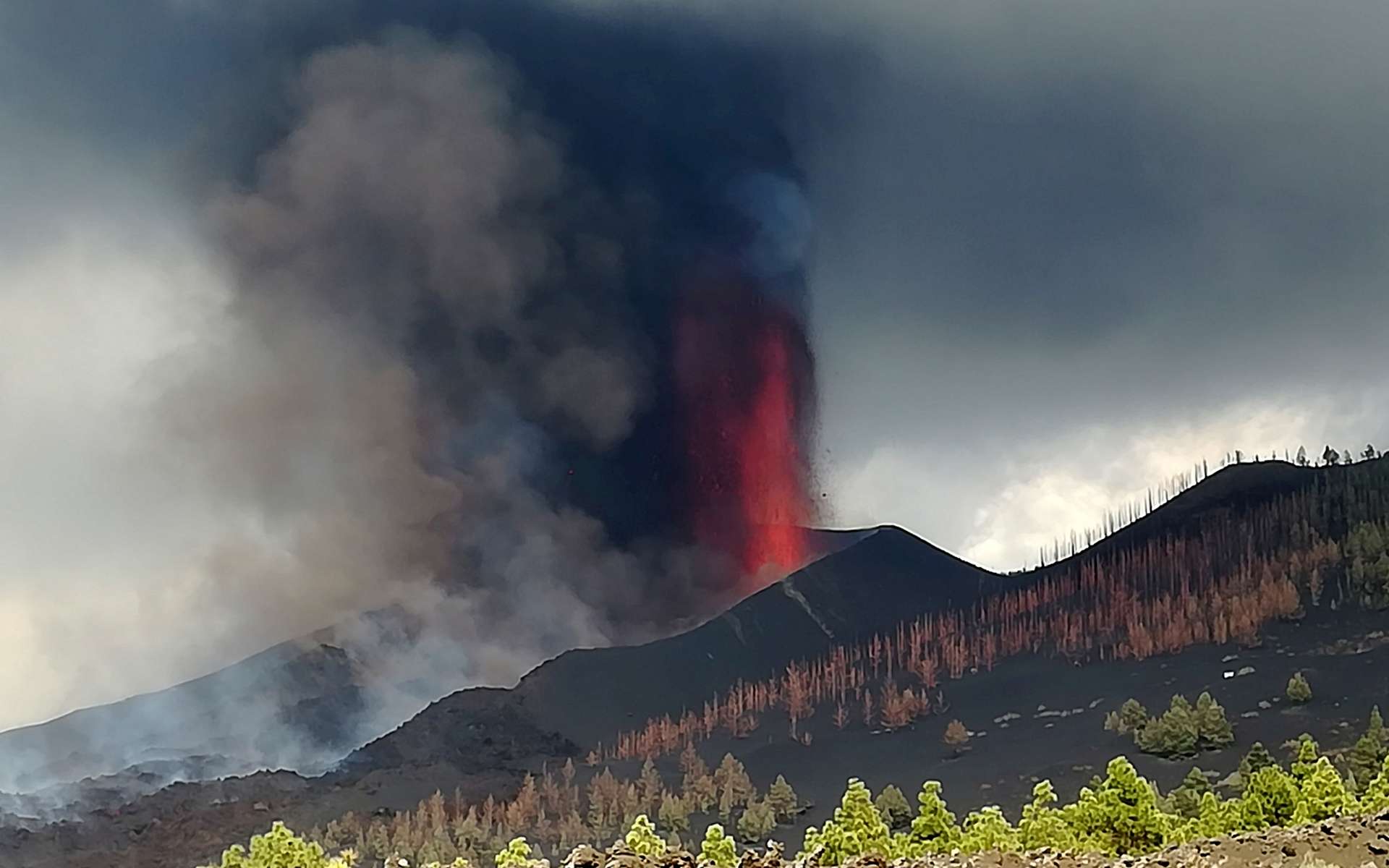 Eruption of Cumbre Vieja: spectacular images of its lava flows thumbnail