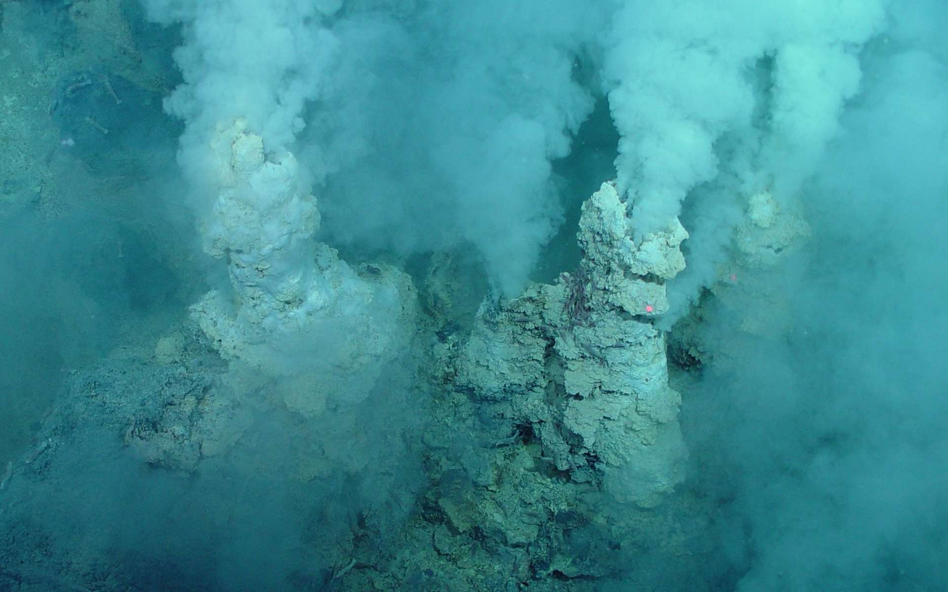 Un exemple des sources hydrothermales découvertes au fond des océans, souvent proches des dorsales océaniques à des milliers de mètres de profondeur. Des organismes vivent là, dans une eau acide et très chaude, jusqu'à plus de 100 °C. Ces écosystèmes sans lumière fonctionnent grâce à l'énergie de la chimiosynthèse, exploitant par exemple le soufre ou l'hydrogène. La photographie a été prise au fond de l'océan Pacifique, sur l'arc volcanique des Mariannes. © Pacific Ring of Fire 2004 Expedition, NOAA Office of Ocean Exploration, Bob Embley, NOAA PMEL, Chief Scientist
