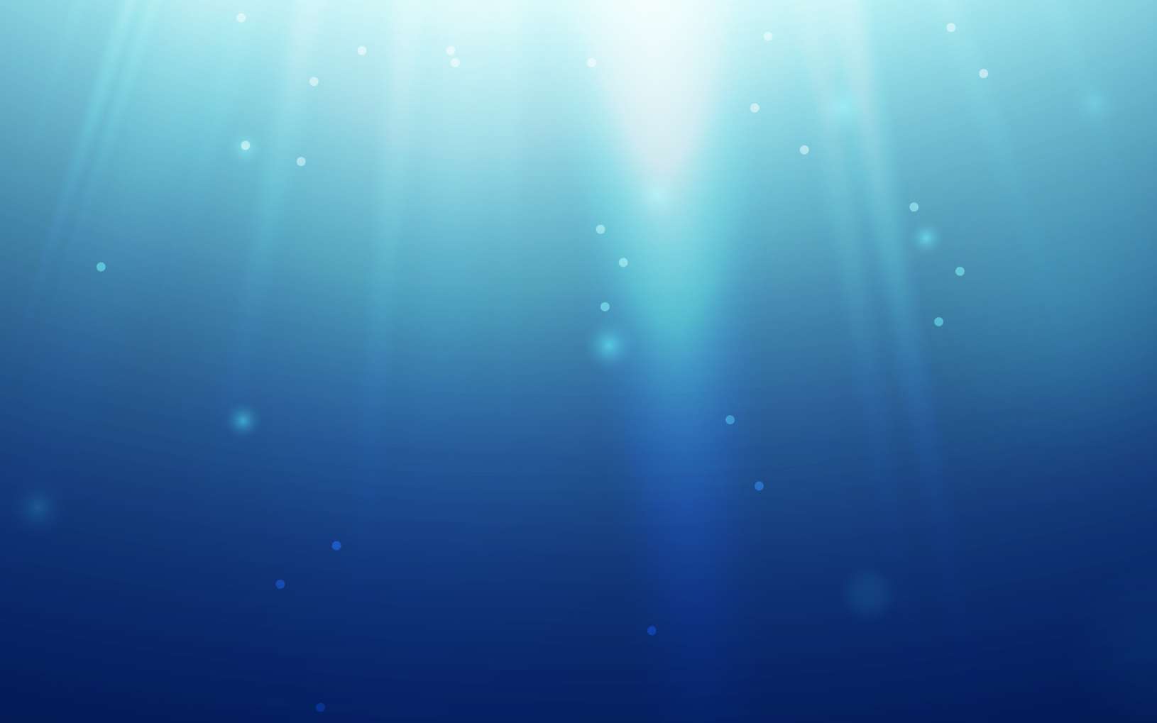 En Nouvelle-Zélande, les scientifiques chassent les fantômes dans les abysses et découvrent une nouvelle espèce de requins !