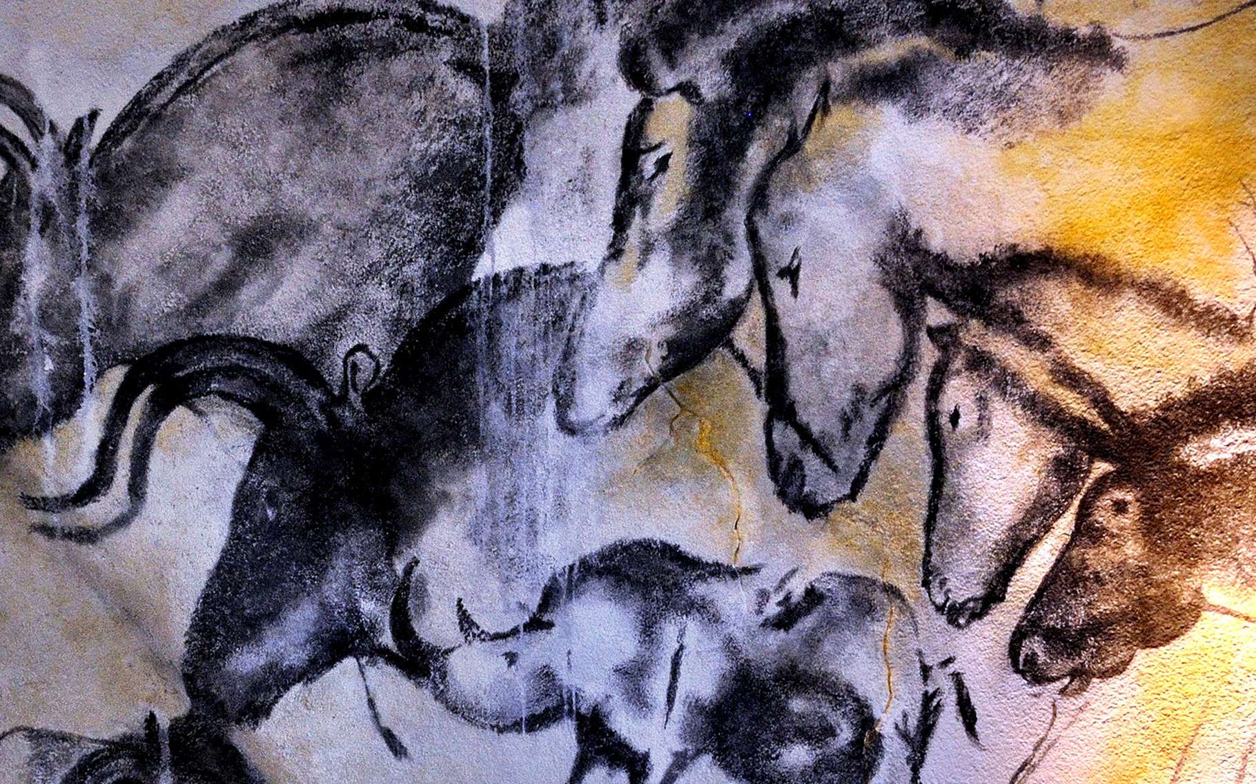 rencontre avec le chamane de la grotte de lascaux