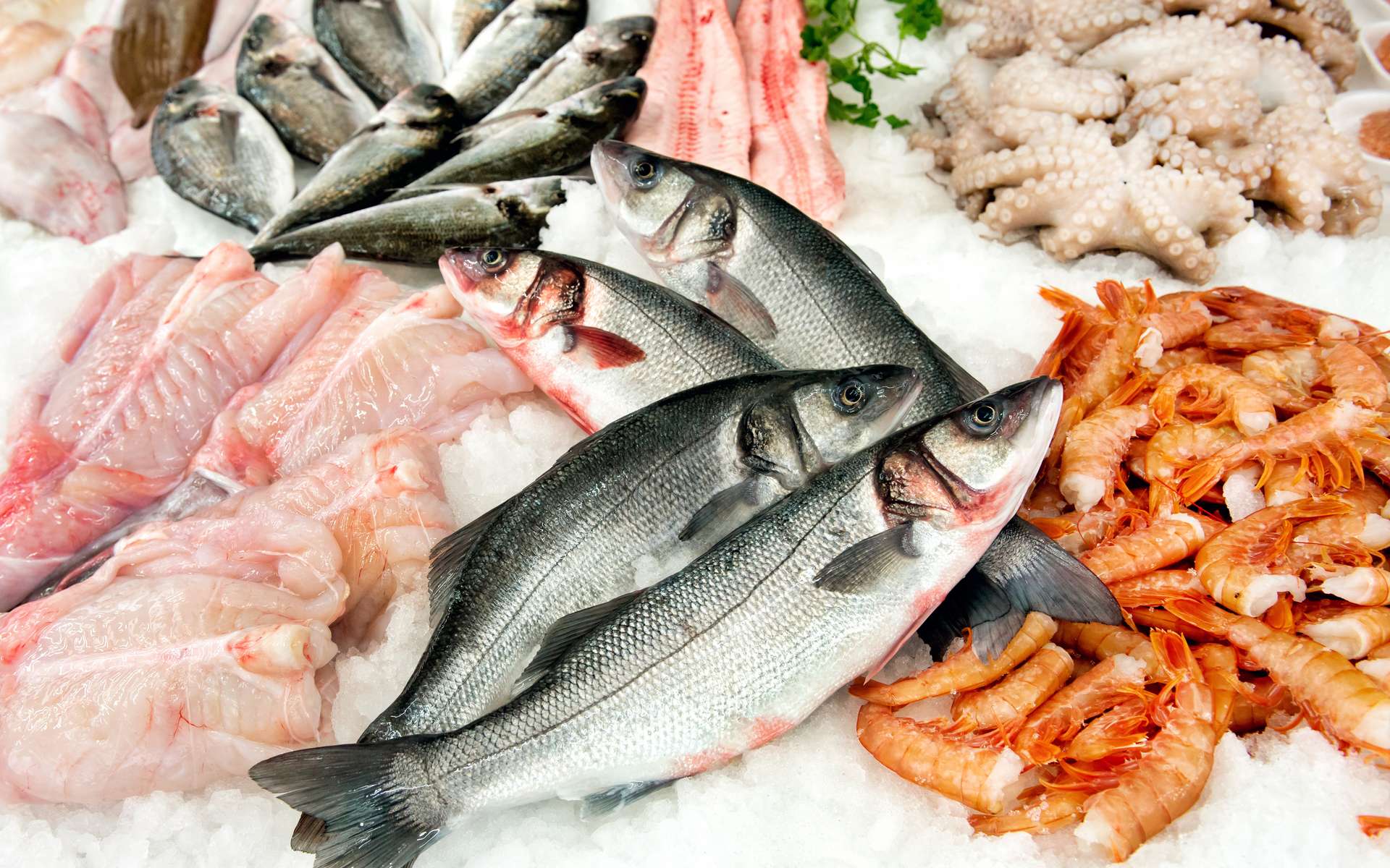 Sur les étalages des poissonniers ou dans les restaurants, se retrouvent des espèces de poissons ou de fruits de mer en danger de disparition. © Photology1971, Adobe Stock