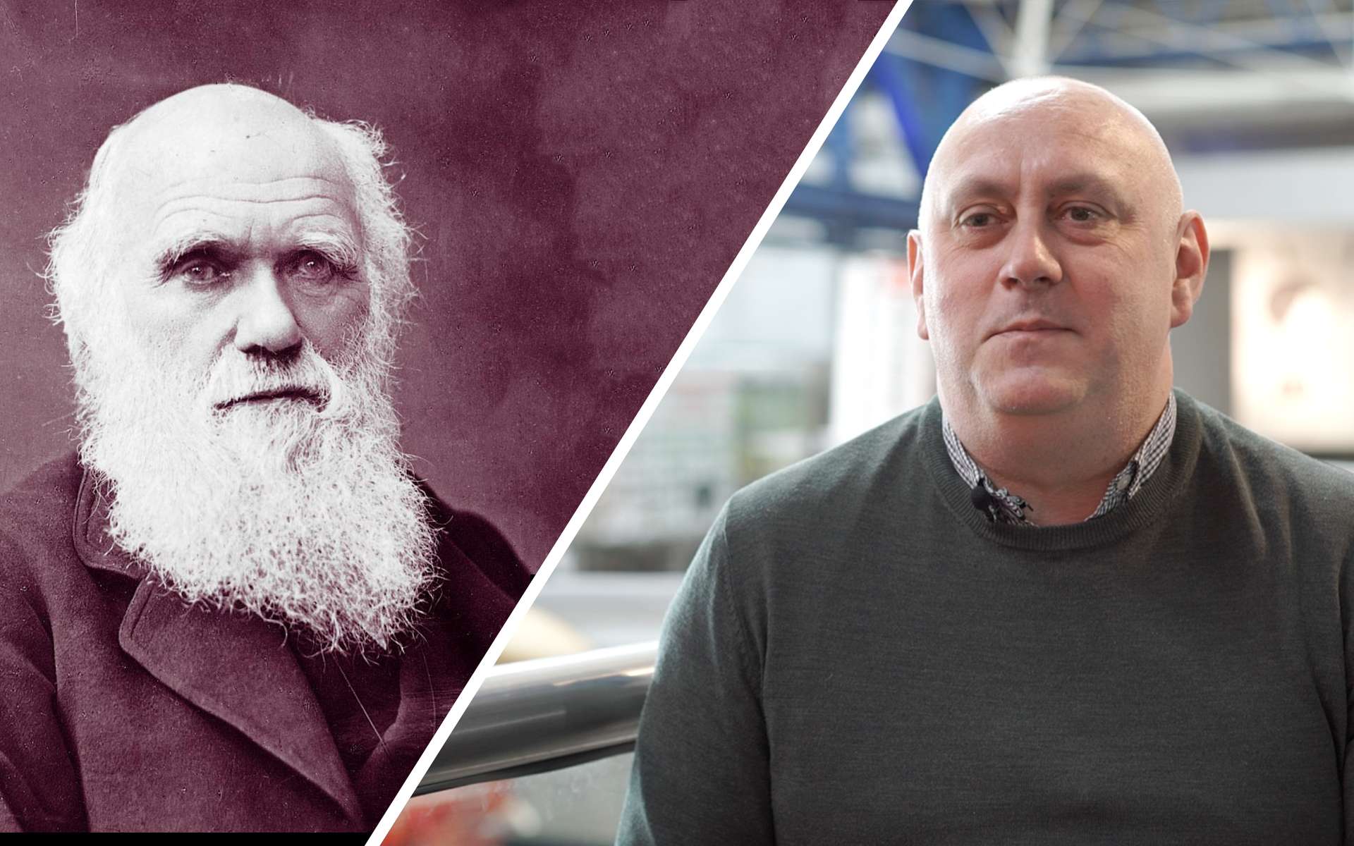 Quelle serait l'origine des espèces selon Charles Darwin ?