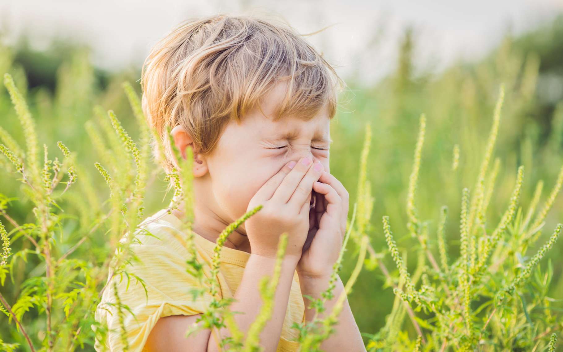 Les allergies pourraient trouver leur origine dans l'intestin