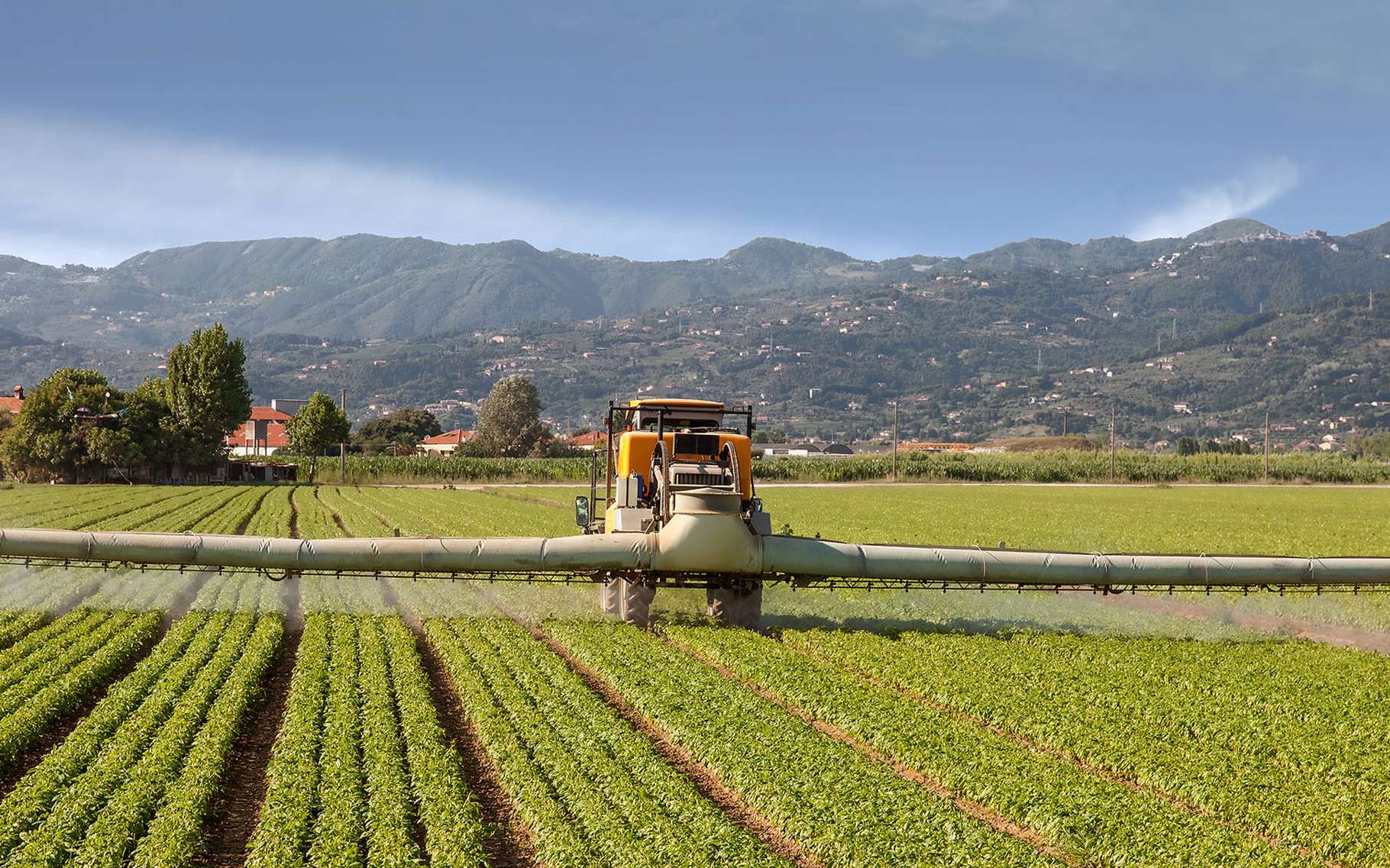 Poissons Pollution Et Effets Des Activites Humaines Dossier