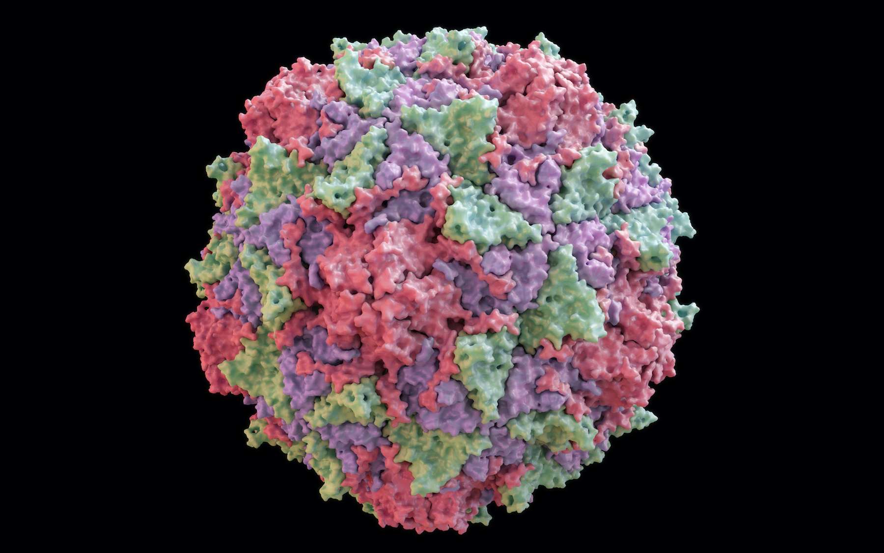 Un poliovirus dérivé de la souche vaccinale PV2 a été isolé dans les égouts de Londres. © Yabusaka, Adobe Stock