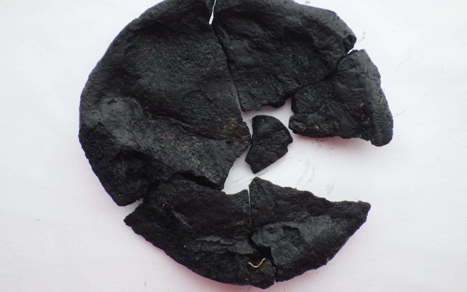 Cette galette de céréales a 2.000 ans !