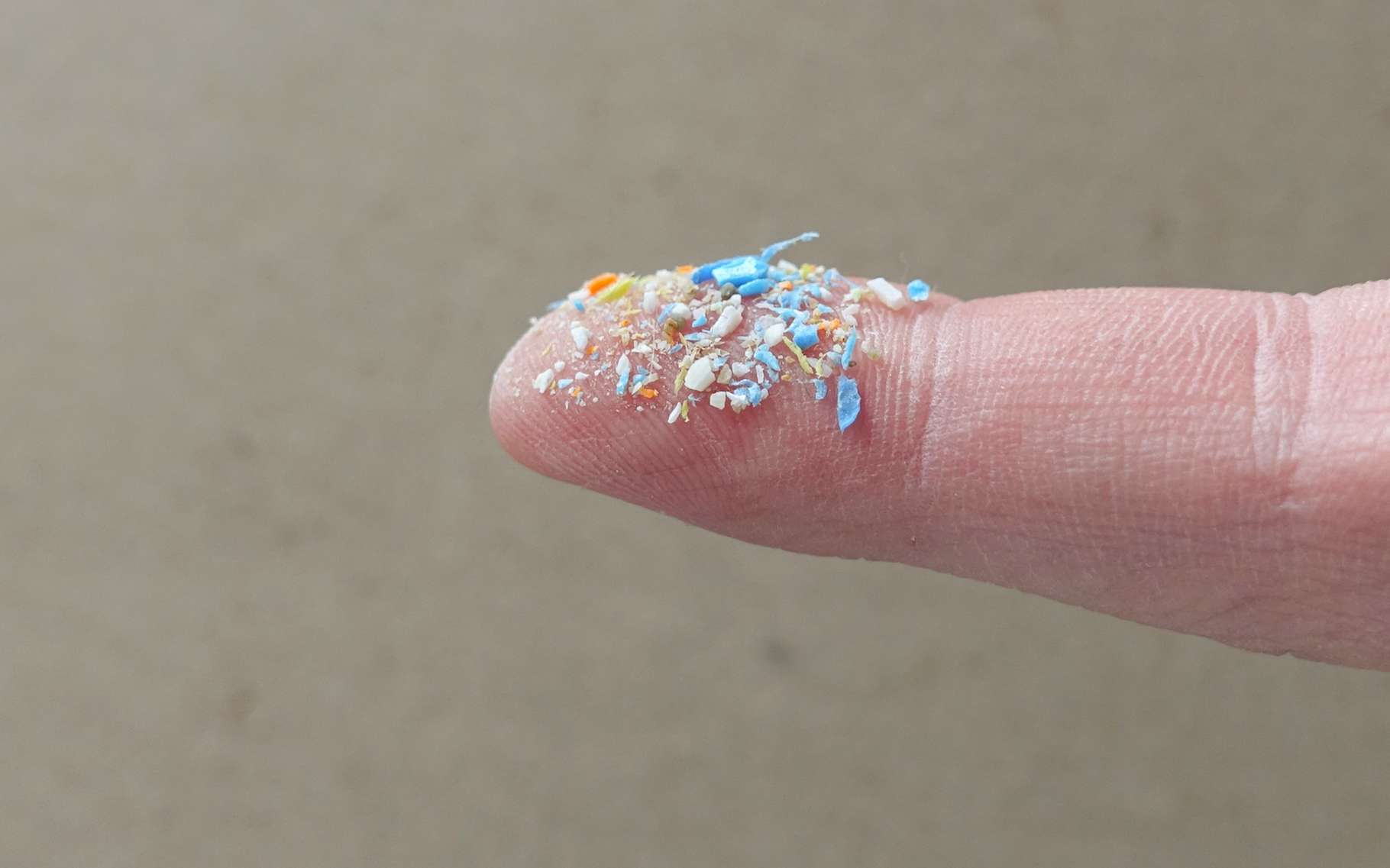 Une équipe internationale de chercheurs a comptabilisé le nombre de morceaux de microplastiques dans les océans du monde. La tâche est ardue. © SIV Stock Studio, Adobe Stock