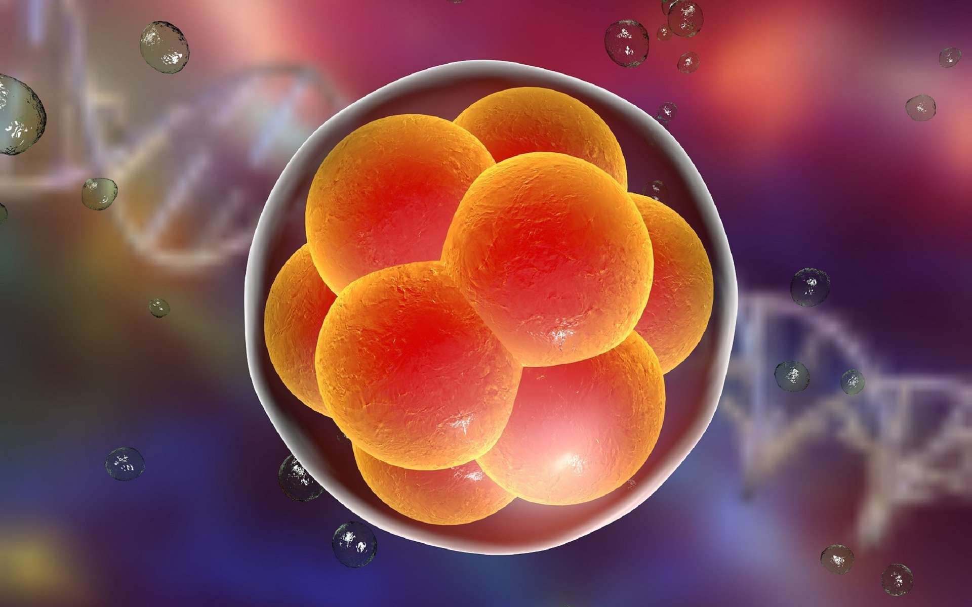 Des embryons humains ont été de nouveau modifiés. Ces expériences sont-elles vraiment indispensables ? © Kateryna Kon, Shutterstock