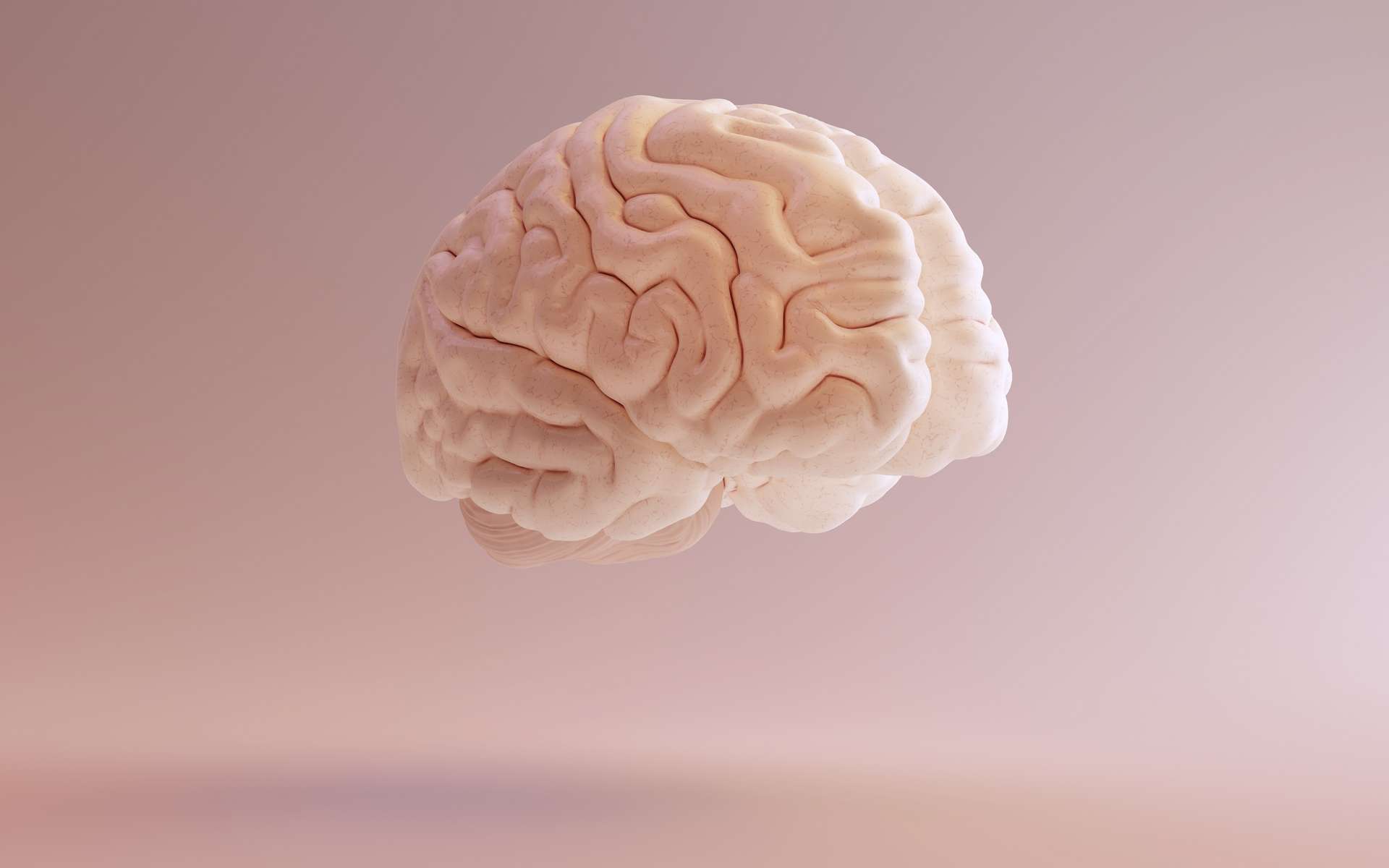 L'aphasie apparaît brutalement après une lésion cérébrale. © paul, Adobe Stock