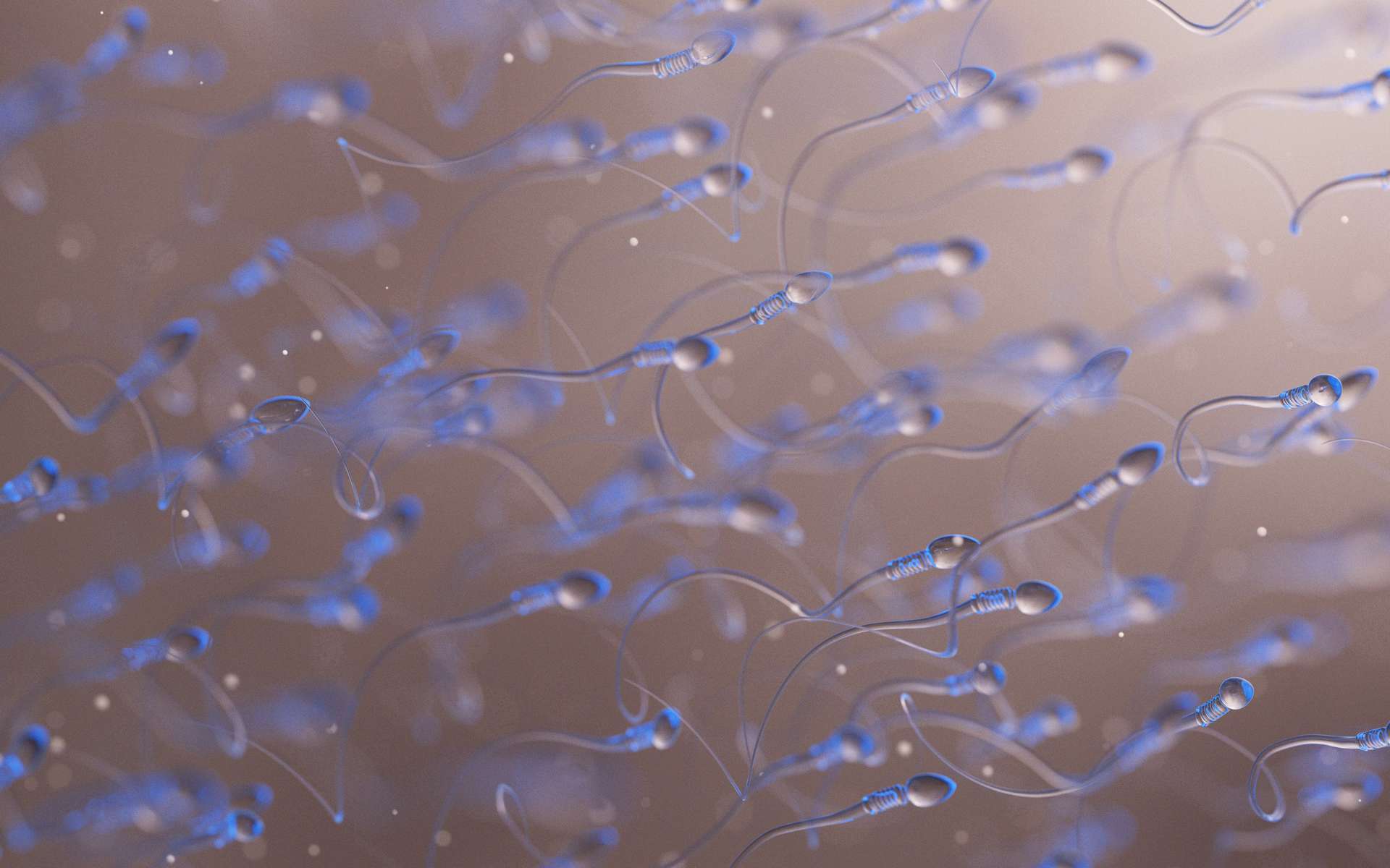 Il existe un microbiote du sperme et il pourrait impacter la fertilité