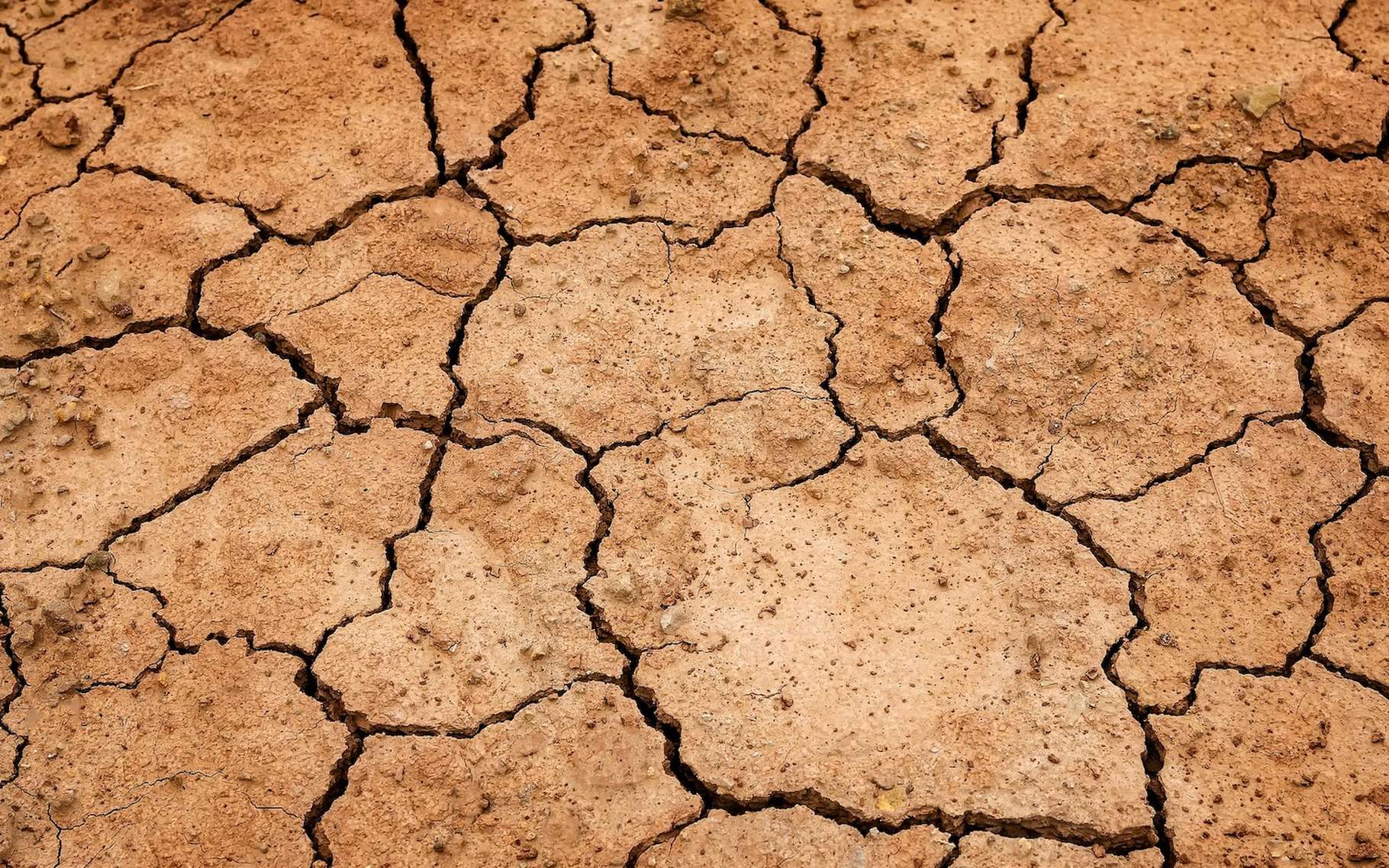 La sécheresse provoque l’apparition de craquelures caractéristiques sur les sols. © Tama66, Pixabay License