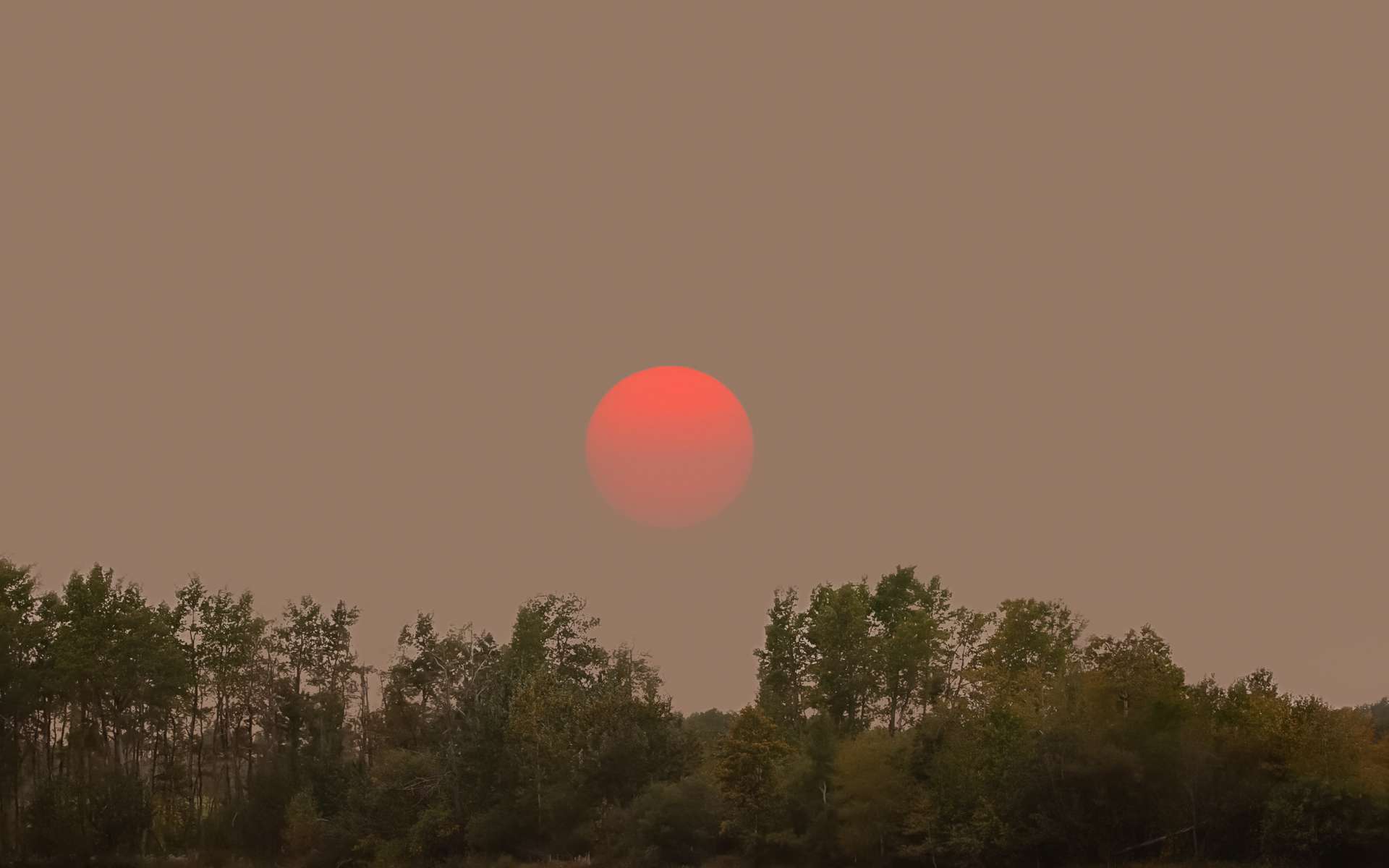 Les étranges couchers de Soleil visibles en ce moment sont liés à un drame à l'autre bout de la Planète !