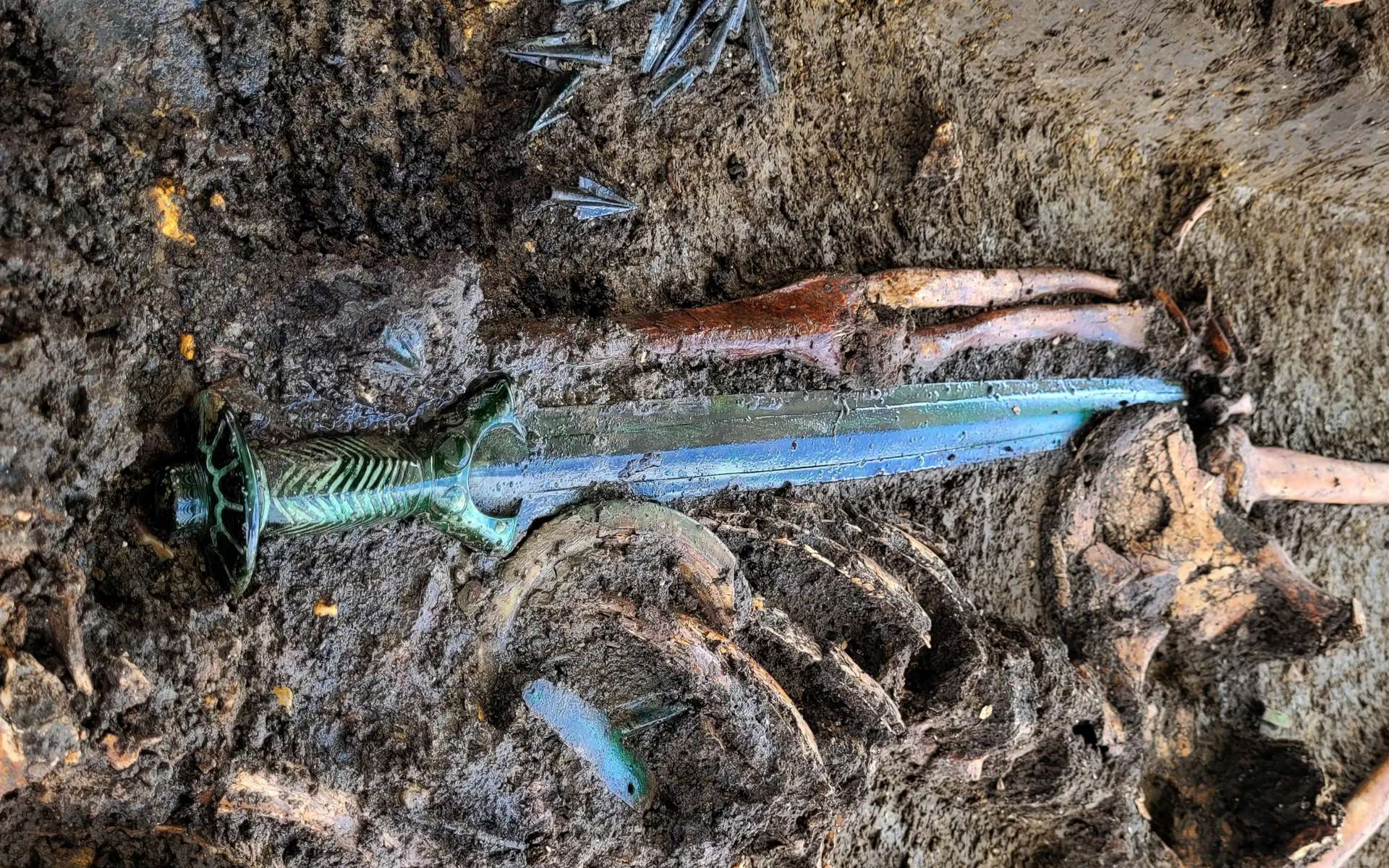 Une magnifique épée en bronze de plus de 3 000 ans vient d'être découverte