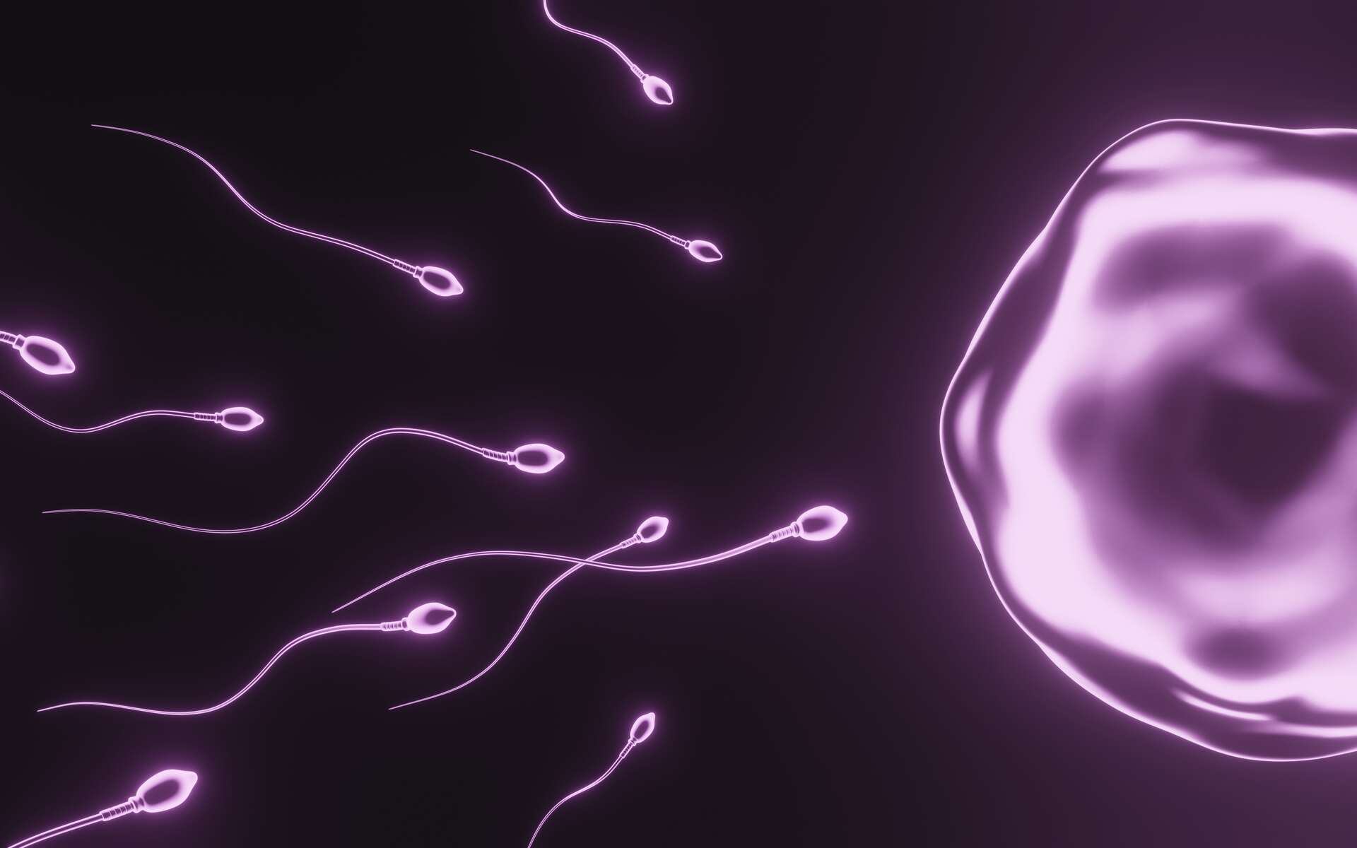Une nouvelle cause d'infertilité masculine identifiée ?
