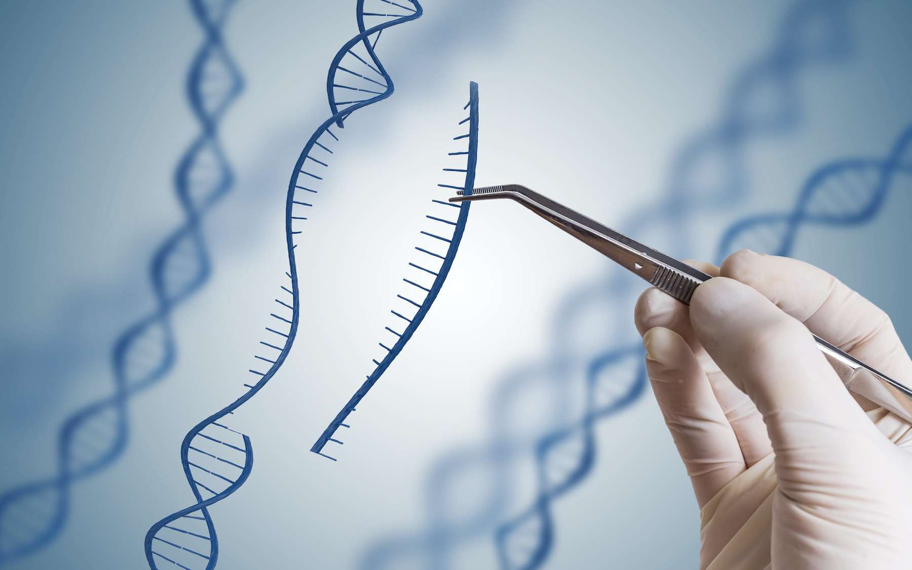 Cancer : la technologie CRISPR-Cas offre des résultats prometteurs contre les tumeurs solides