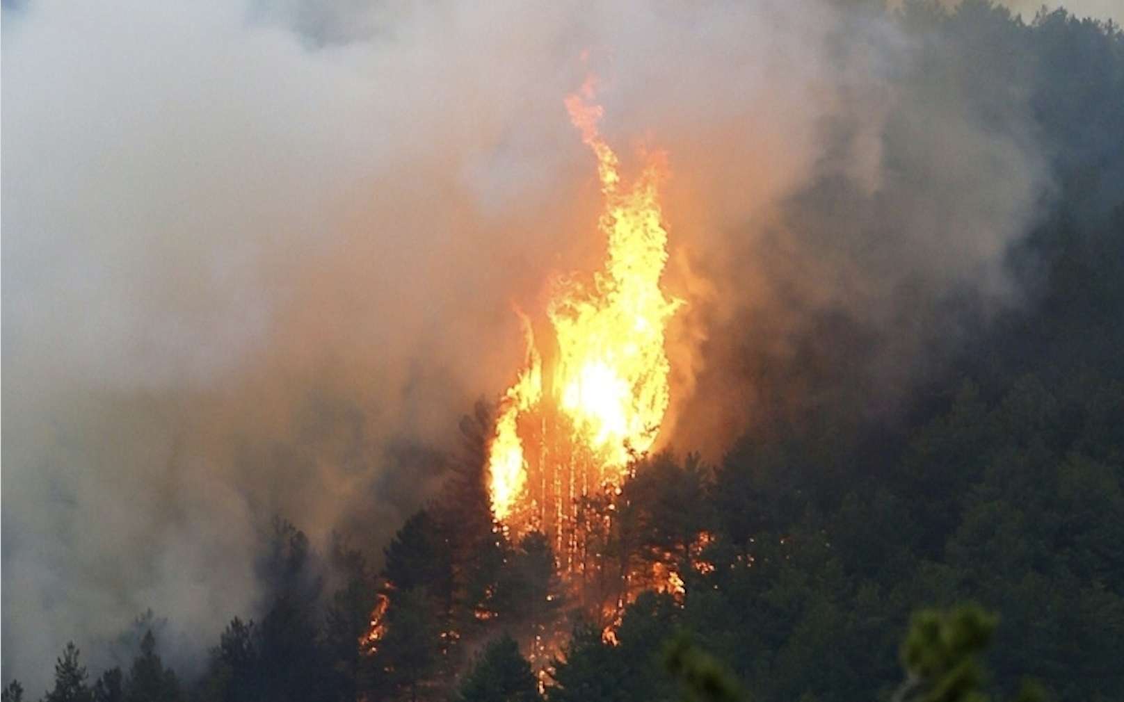 Tempête Hervé et incendie en Corse : l'île de Beauté en alerte orange