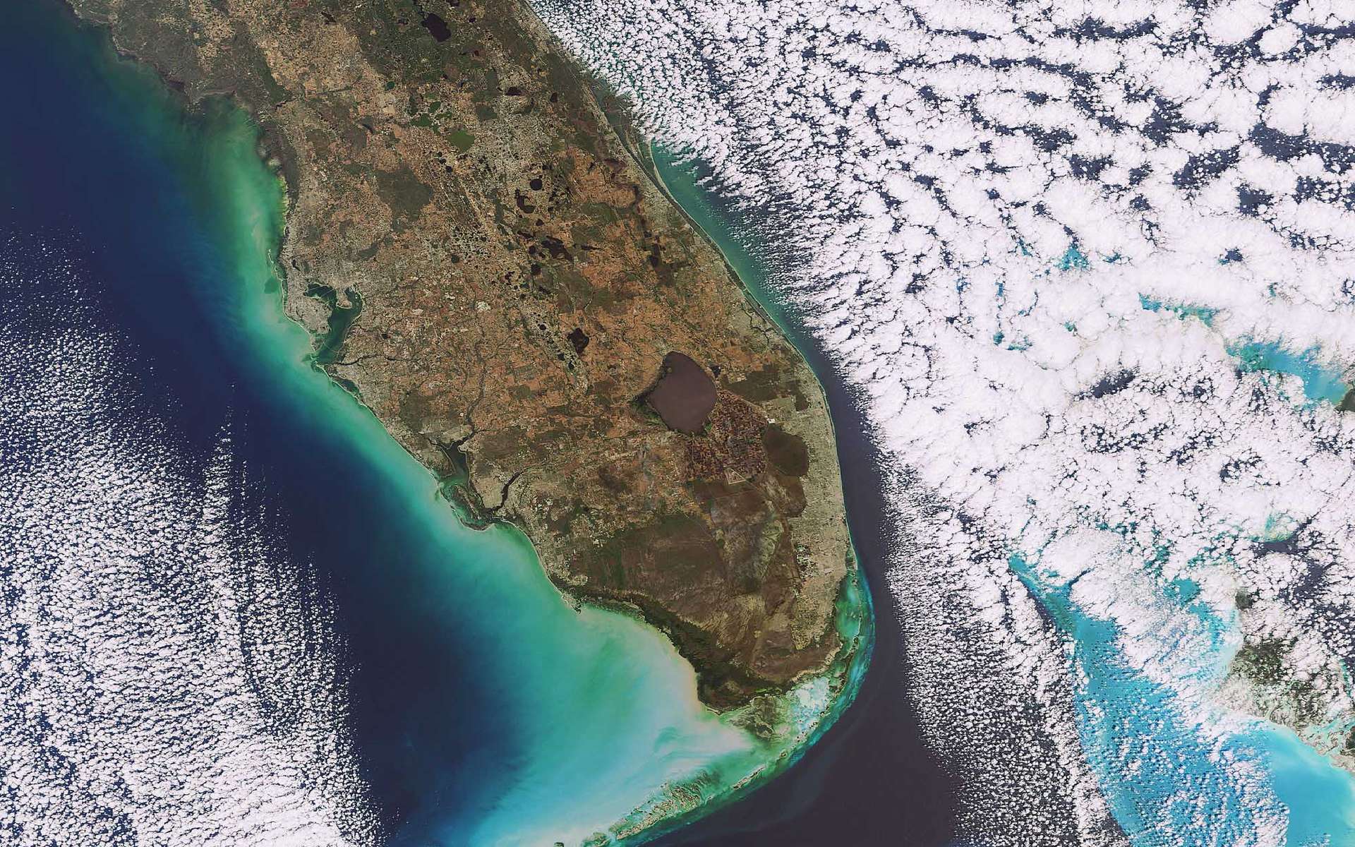 Cette image prise le 5 février 2009 par la caméra Meris (Medium Resolution Imaging Spectrometer) d’Envisat montre la pointe sud de la Floride, qui se situe au sud-est des Etats-Unis. La péninsule s’avance entre l’océan Atlantique (à droite) et le golfe du Mexique (à gauche) sur plus de 550 km. La résolution est de 300 mètres par pixel. La tache brune circulaire est le lac Okeechobee, le troisième plus grand lac d’eau douce entièrement situé aux Etats-Unis, après le lac Michigan et la lac Iliamna. Il couvre une surface d’environ 1.900 km2, pour 220 km de rivages et une profondeur moyenne de 4 m.