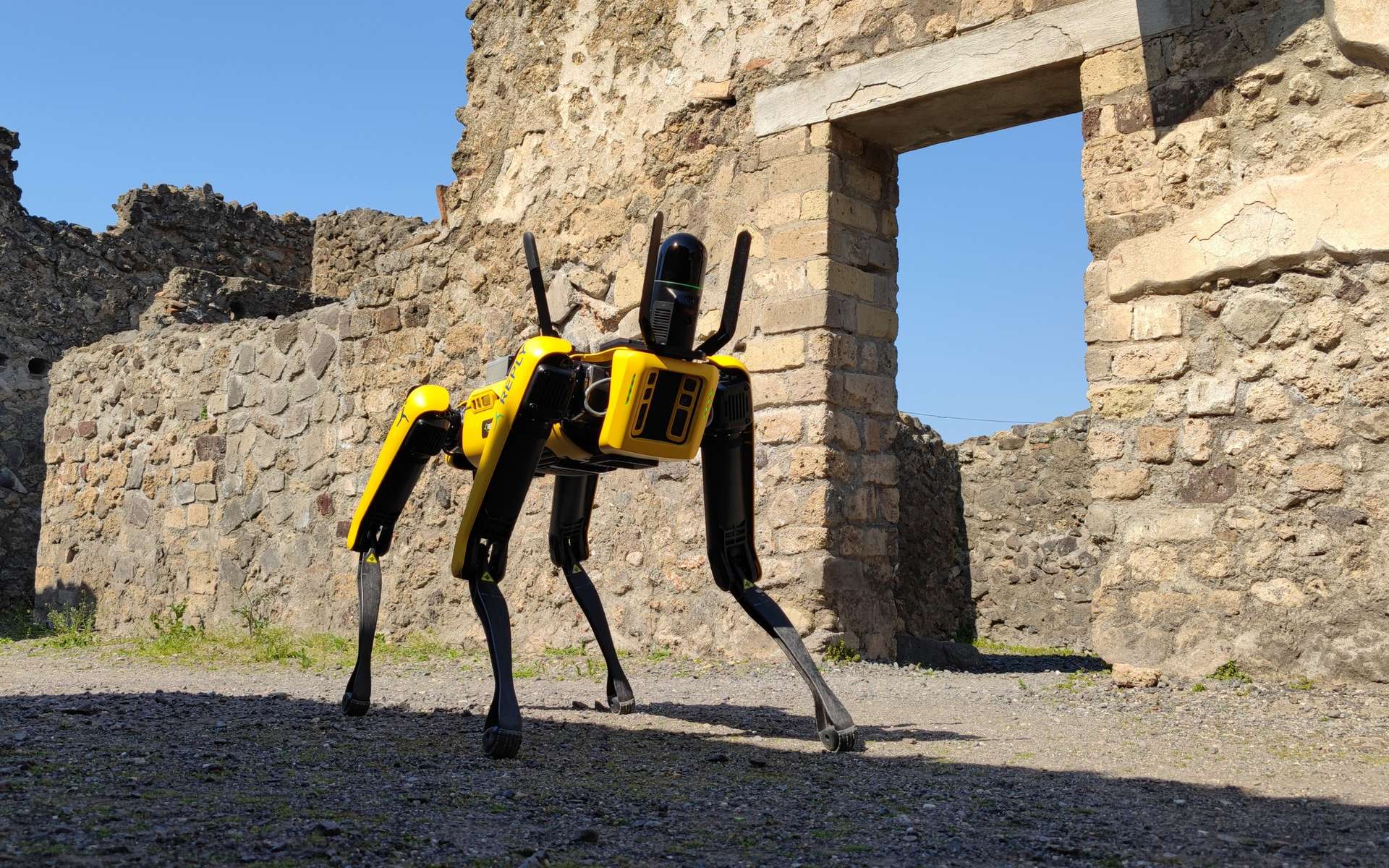 Le robot Spot sera désormais un gardien du site archéologique de Pompéi. © Parc archéologique de Pompéi