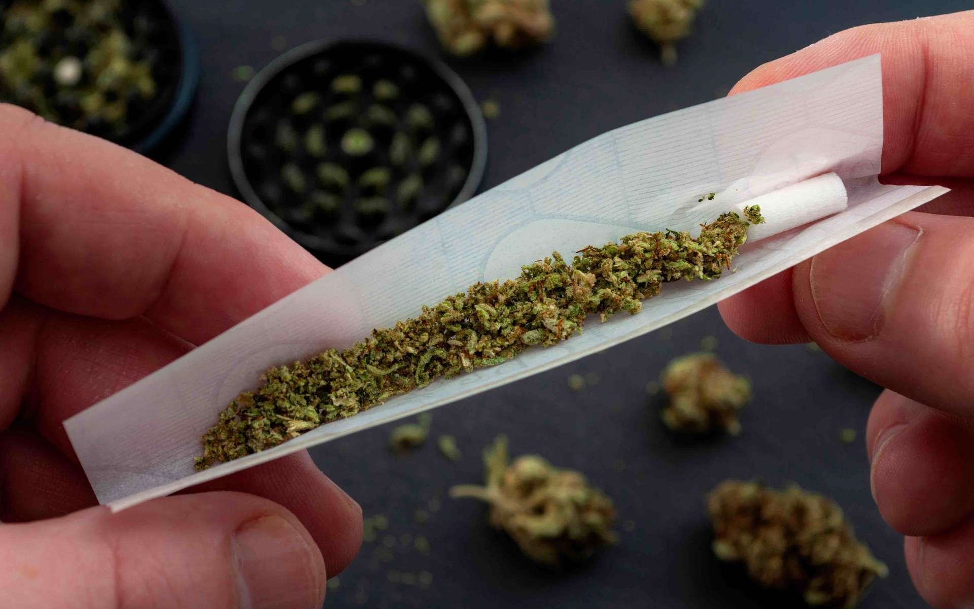 Va-t-on vers une légalisation encadrée du cannabis récréatif ?