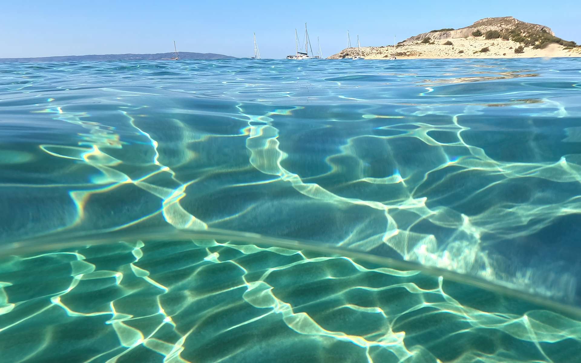 Alerte sur des températures plus que tropicales dans ces régions de la mer Méditerranée