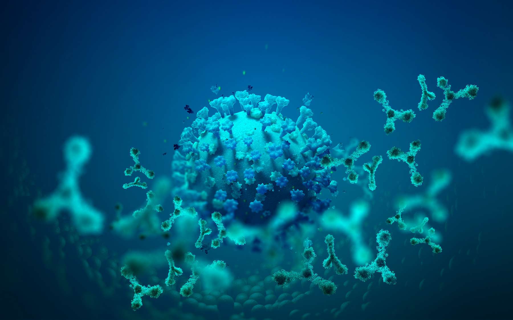 Le sotrovimab est un des rares anticorps thérapeutiques disponibles encore efficaces contre Omicron. © Siarhei, Adobe Stock