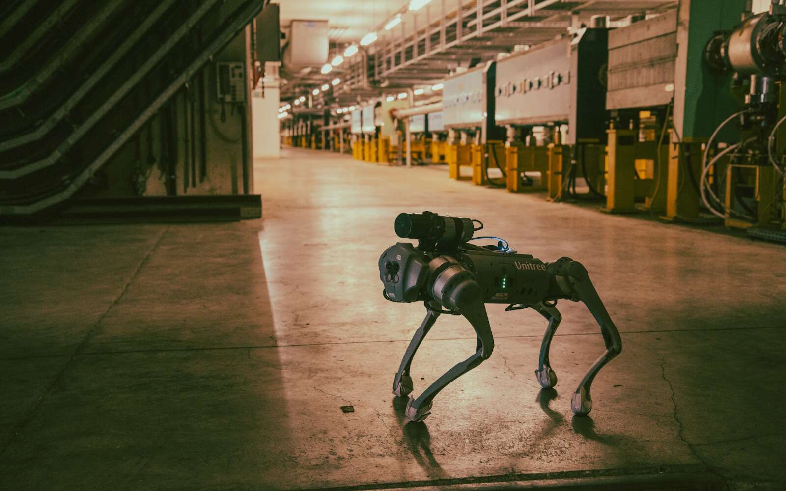 Un robot chien patrouille dans les entrailles du plus grand accélérateur de particules du monde