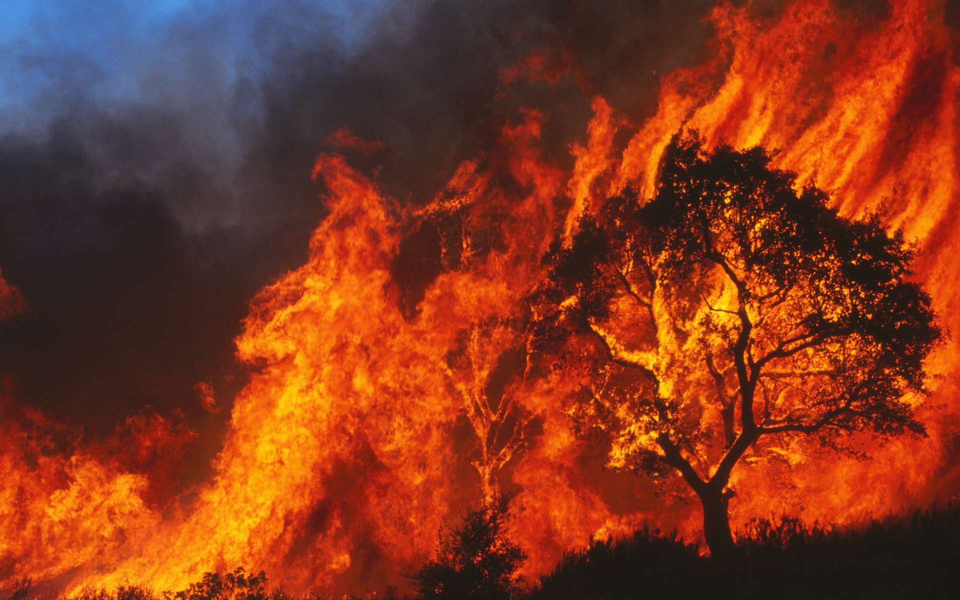 Voici où les incendies menacent le plus d'habitants... mais personne n'en parle