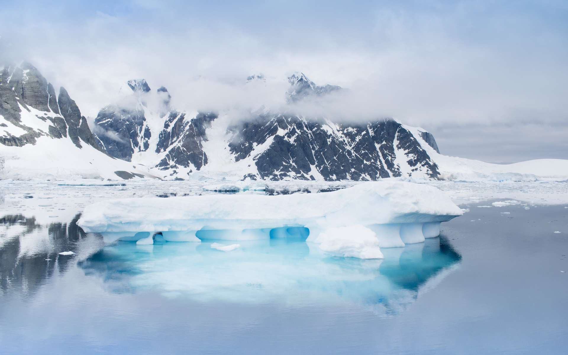 Une équipe de chercheurs anglais a cherché les causes les plus importantes de la fonte de la barrière de Larsen en Antarctique. © Iurii Sokolov, Adobe Stock