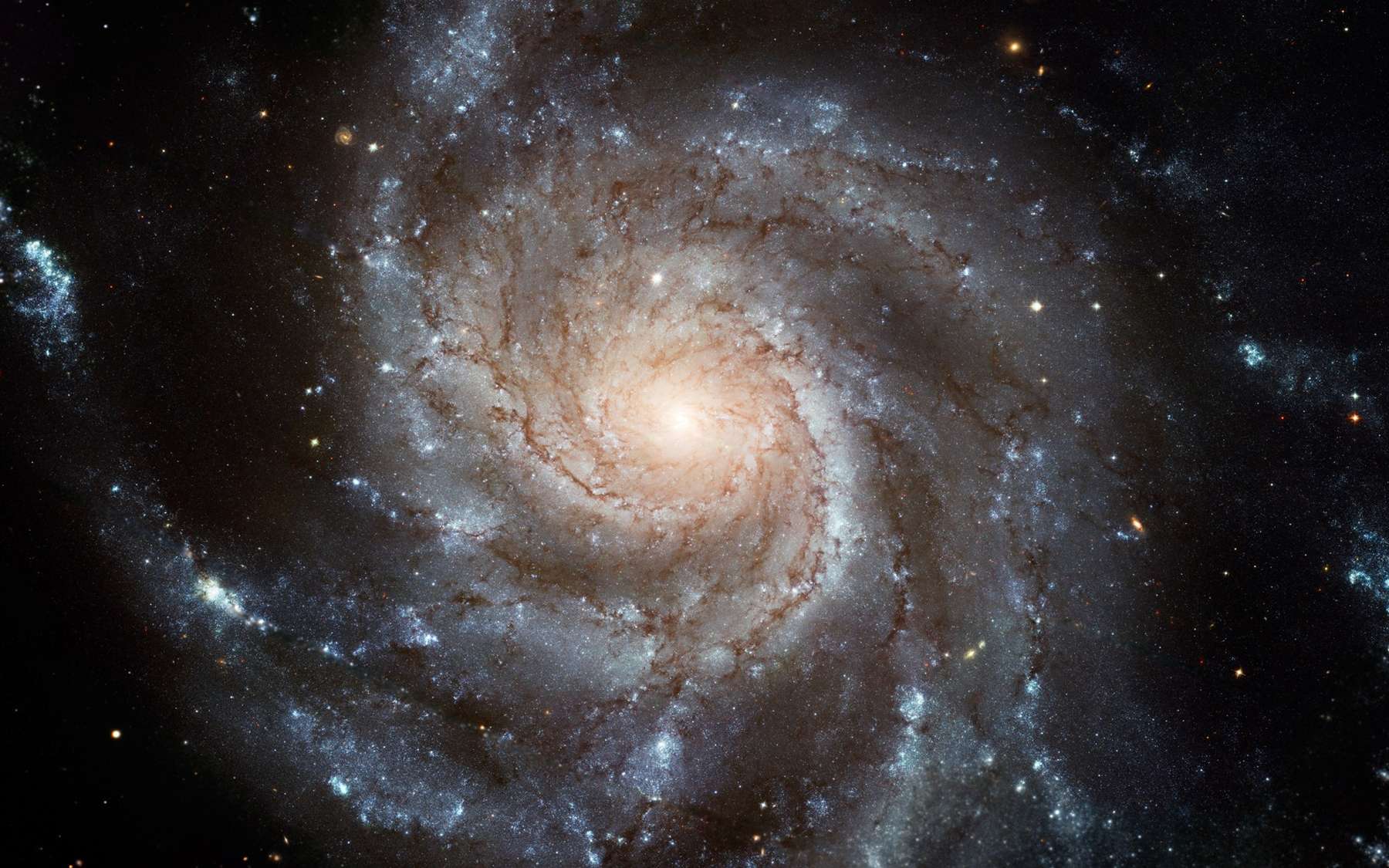 Les galaxies forment une même horloge cosmique. Ici, la galaxie du Moulinet vue par le télescope Hubble. © NASA, ESA, K. Kuntz (JHU), F. Bresolin (University of Hawaii), J. Trauger (Jet Propulsion Lab), J. Mould (NOAO), Y.-H. Chu (University of Illinois, Urbana) and STScI; CFHT Image: Canada-France-Hawaii Telescope/J.-C. Cuillandre/Coelum; NOAO Image: G. Jacoby, B. Bohannan, M. Hanna/NOAO/AURA/NSF