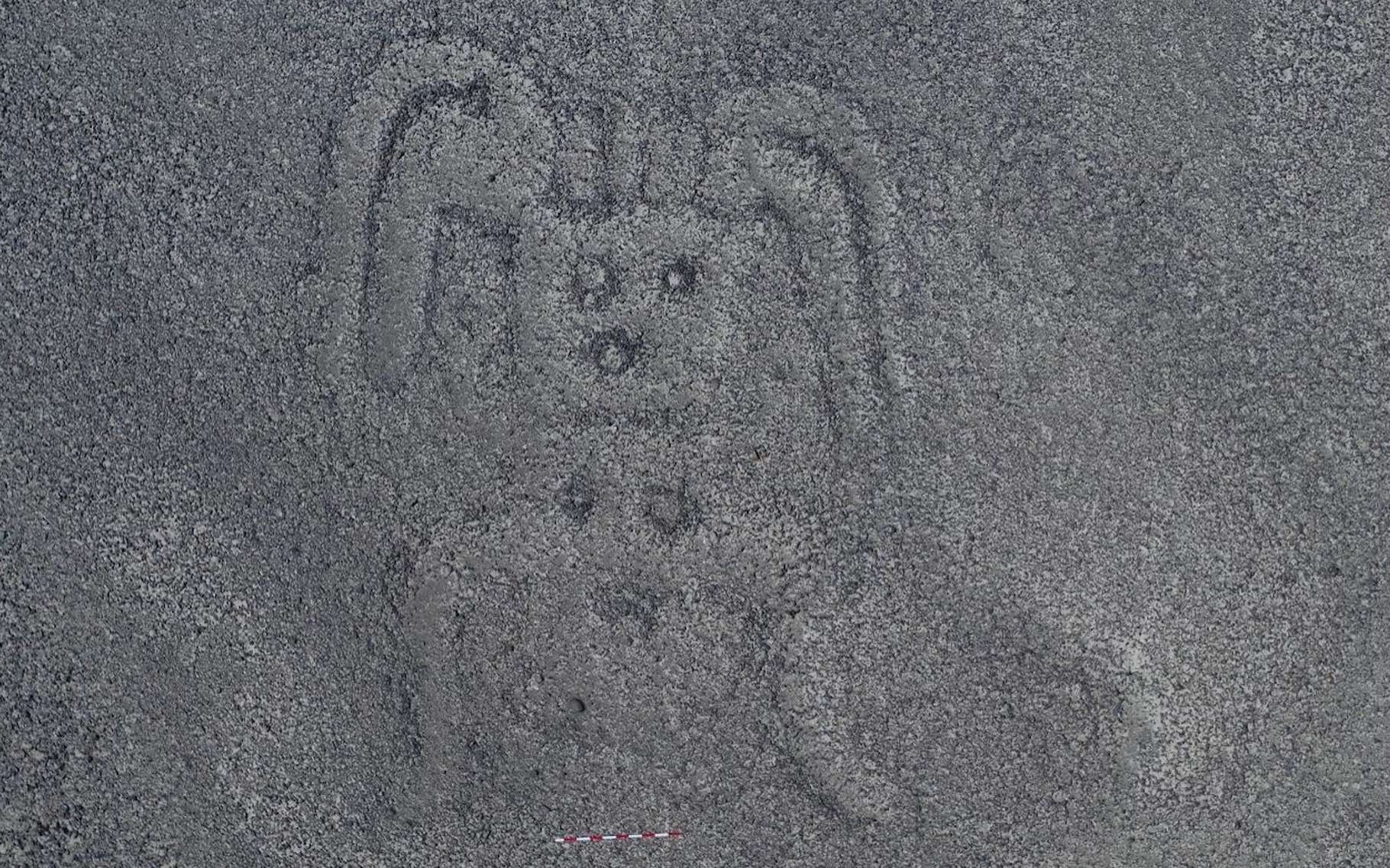 Des archéologues de l’université de Yamagata (Japon) ont mis au jour 143 nouvelles lignes de Nazca. Parmi les géoglyphes relativement petits et dits de type B, cette forme humanoïde. © Université de Yamagata