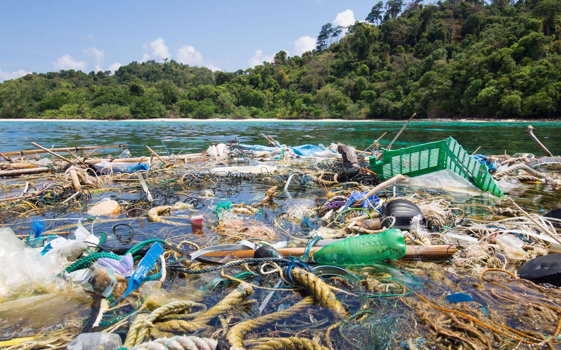 Une cinquantaine de multinationales sont responsables de la moitié de la pollution plastique dans le monde