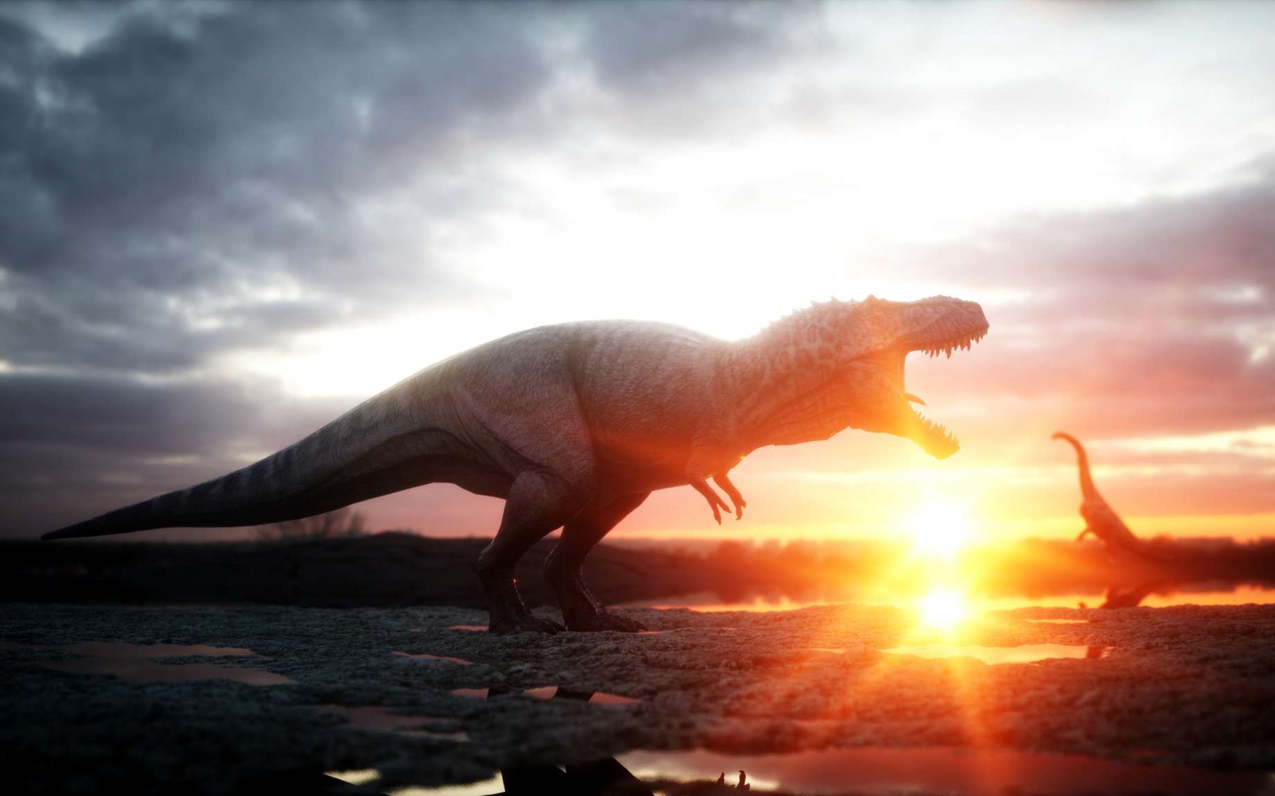 Top 10 Des Infos Insolites Sur Les Dinosaures