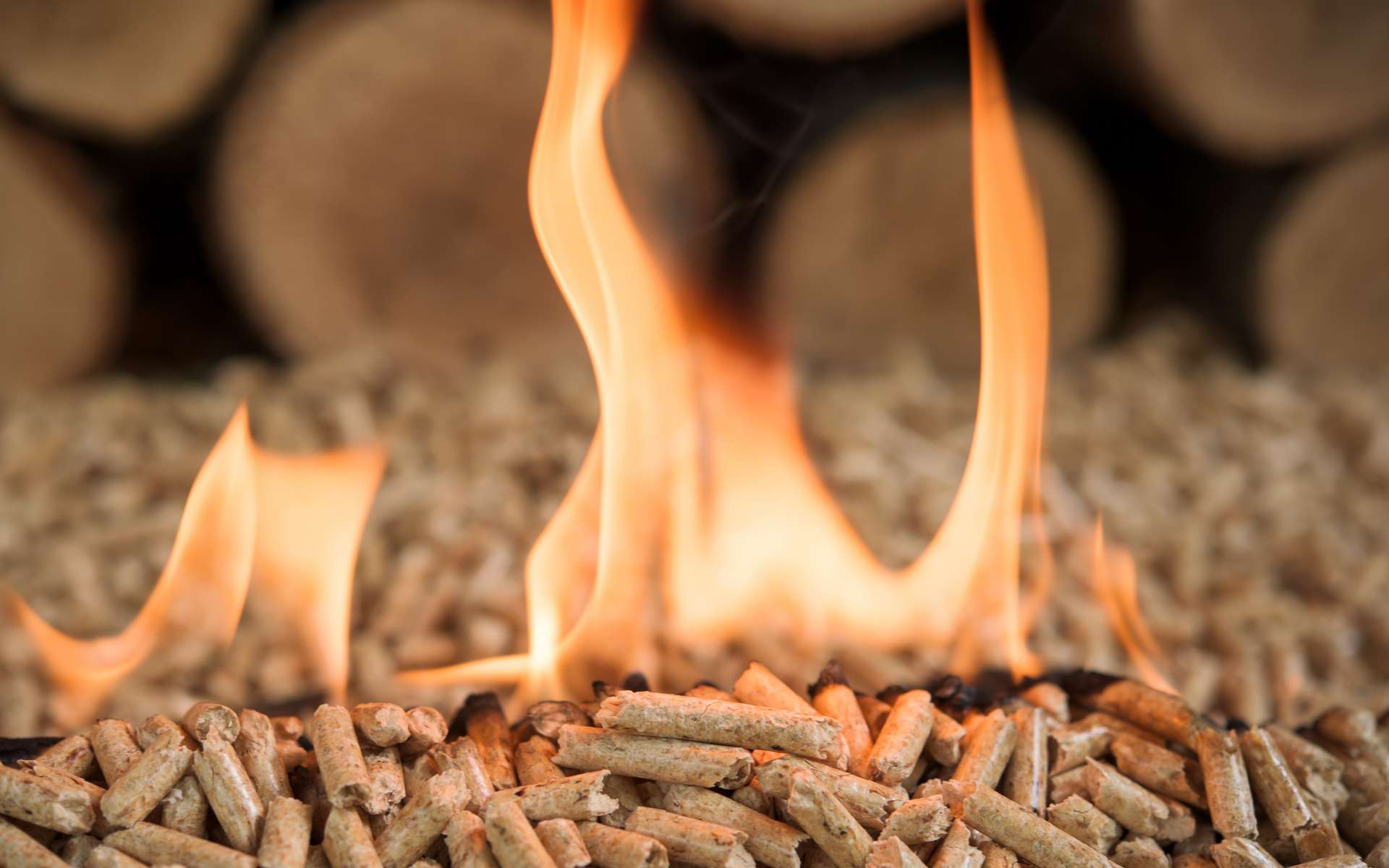 Le feu, première source d’énergie de l’humanité, est aussi une énergie renouvelable issue de la biomasse. © tchara, Adobe Stock