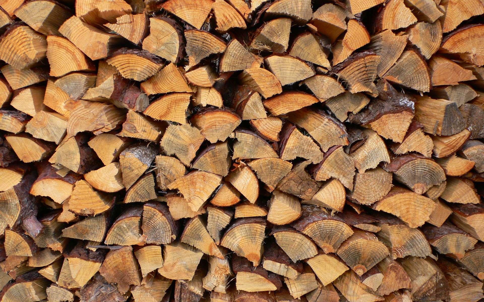 Un bois est considéré comme sec s’il contient moins de 19 % d’humidité. © Satoshi KAYA, Flickr