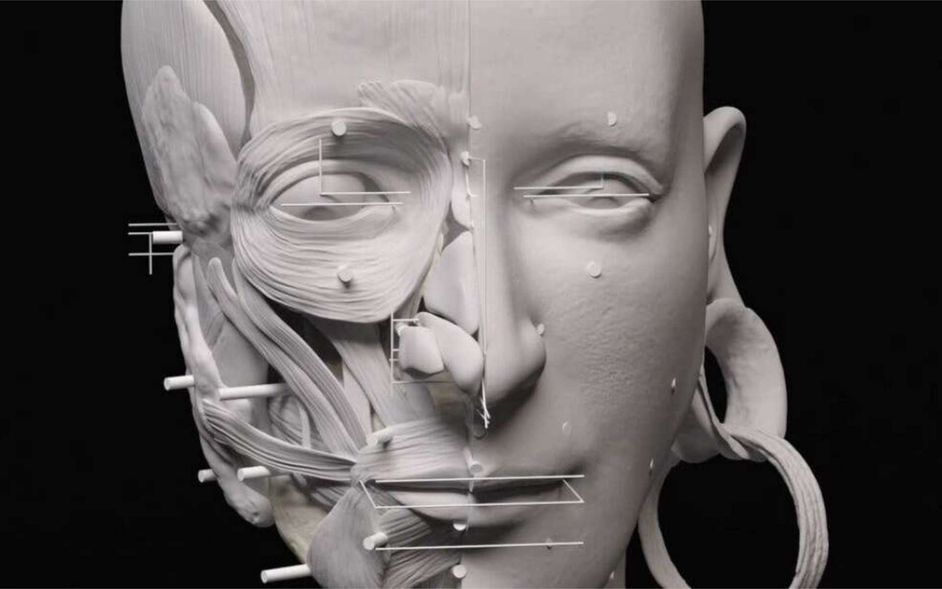 Des chercheurs ont reconstitué des visages humains de l'Âge du bronze