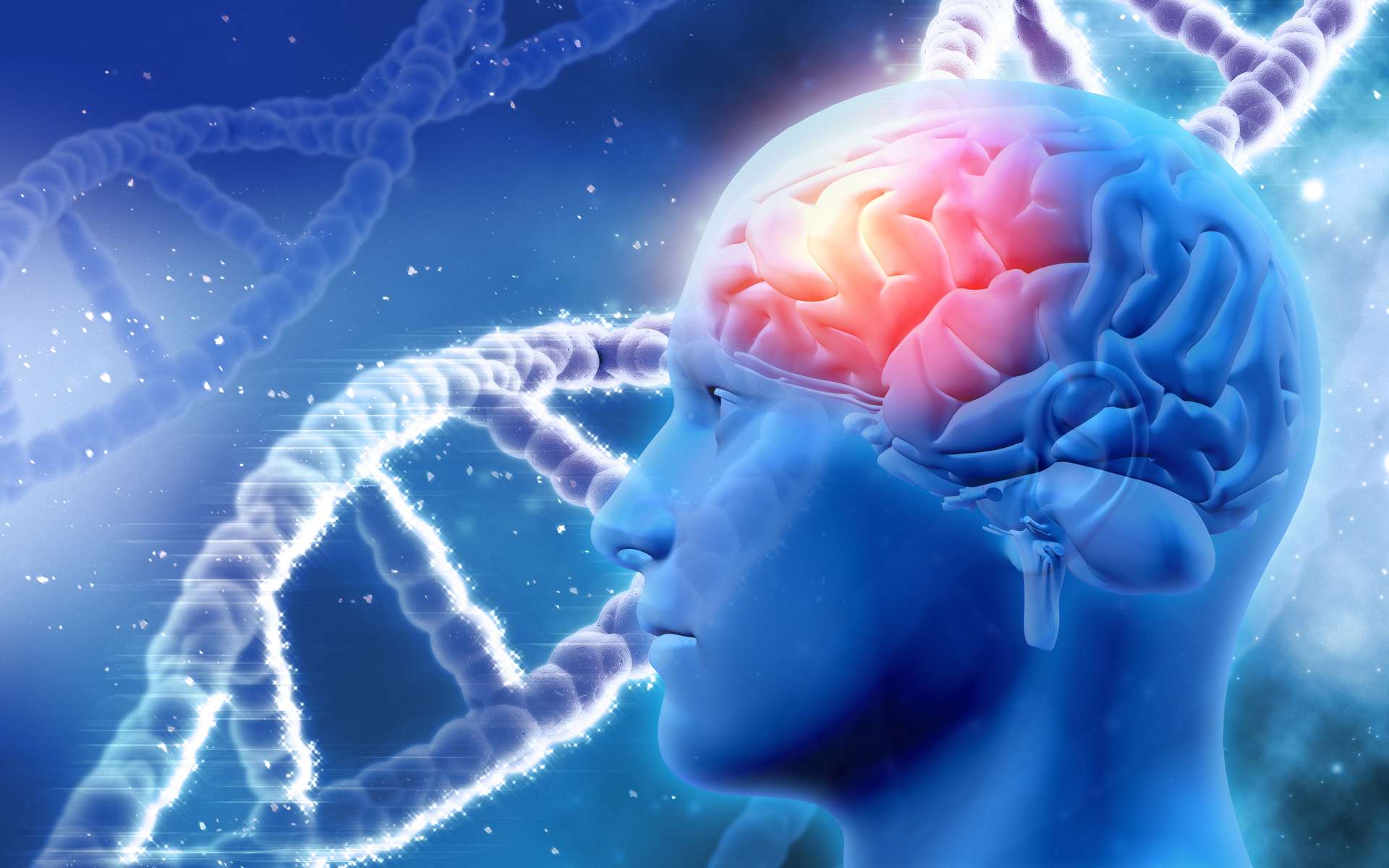 La peur modifie l'ADN dans le cerveau des souris