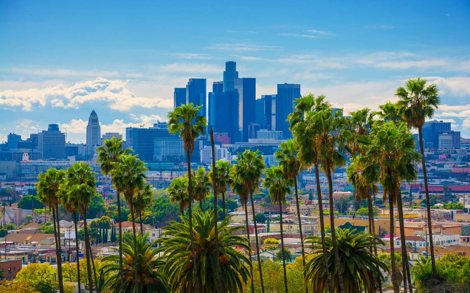 Google fait appel à l'IA pour revégétaliser les villes