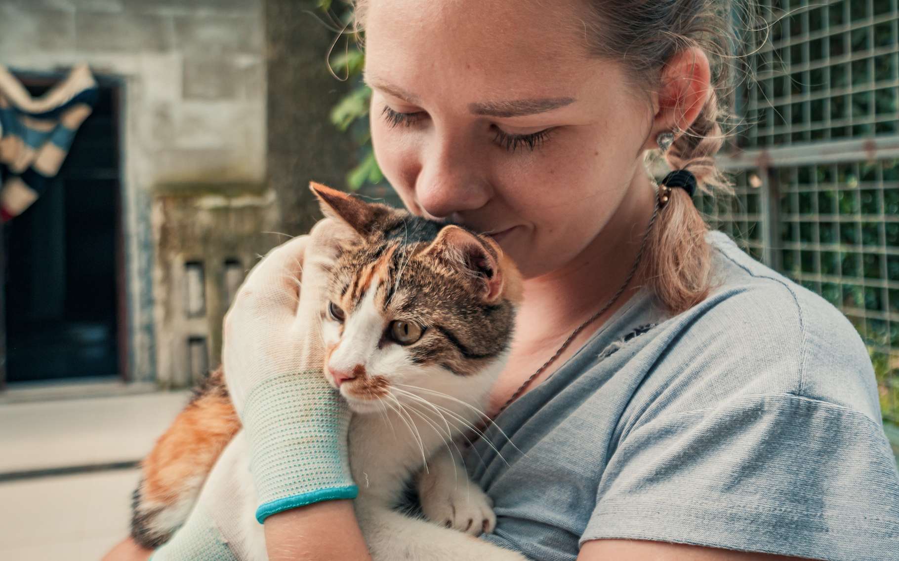 8 Facons De Defendre La Cause Animale 8 Facons De Defendre La Cause Animale