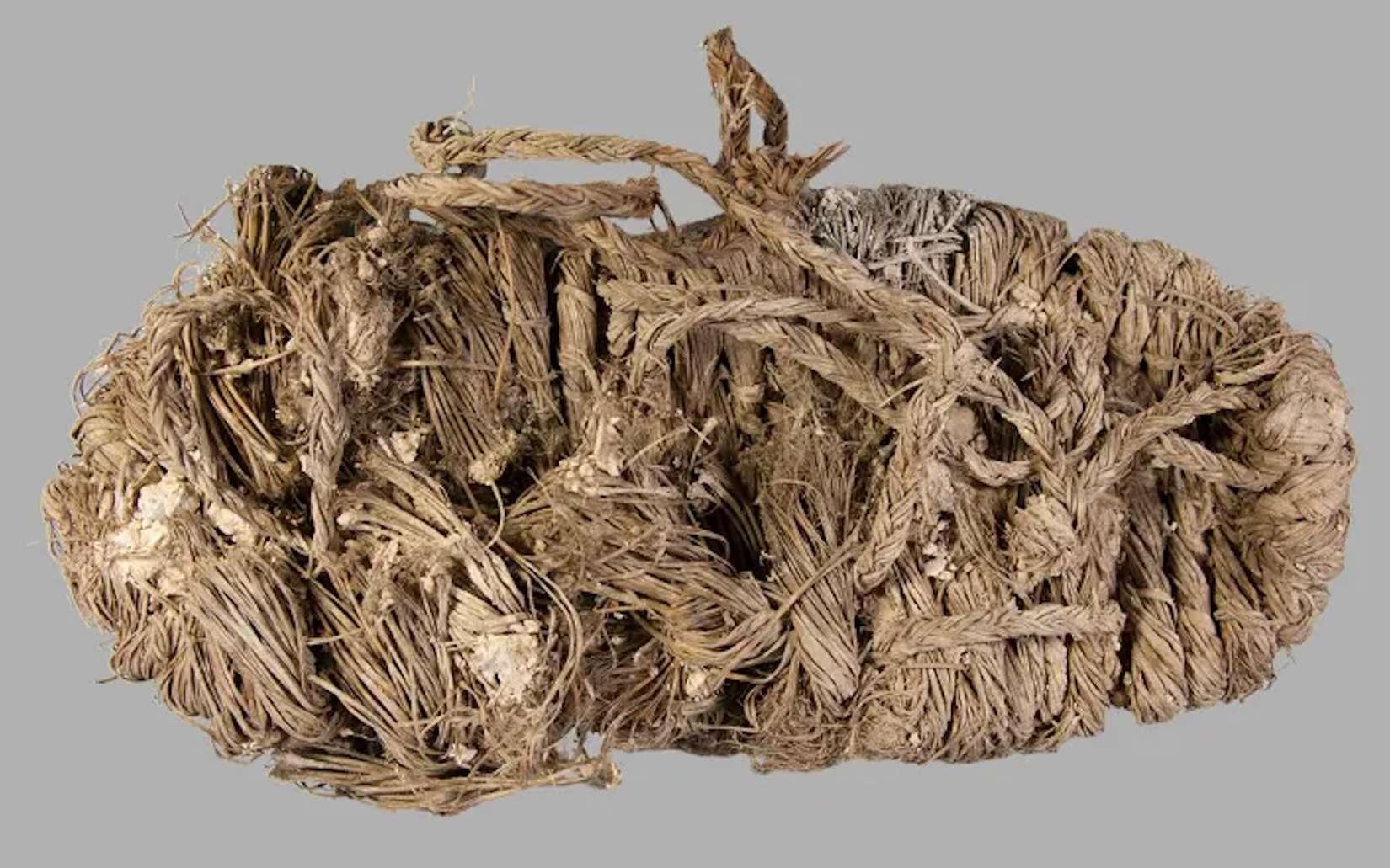 Le vestige qu'on n'attendait pas : une espadrille vielle de 750 ans découverte dans un nid de vautour !