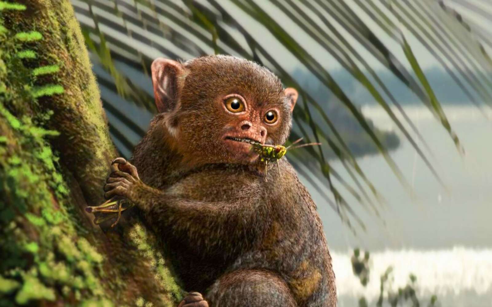 Ces singes préhistoriques ont-ils vraiment traversé l'océan sur un méga-radeau ?
