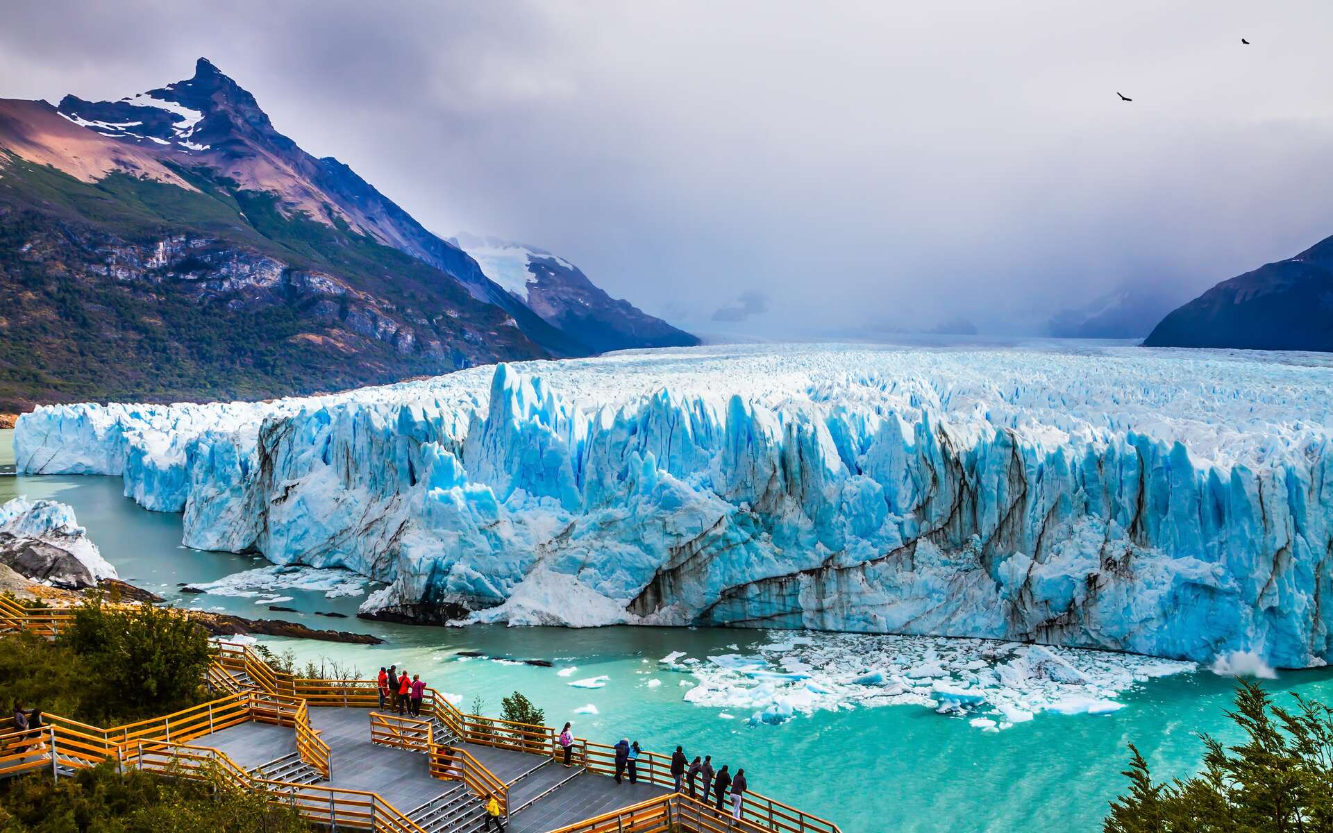 Ce célèbre glacier de Patagonie, visité par près d'un million de personnes chaque année, est désormais condamné !