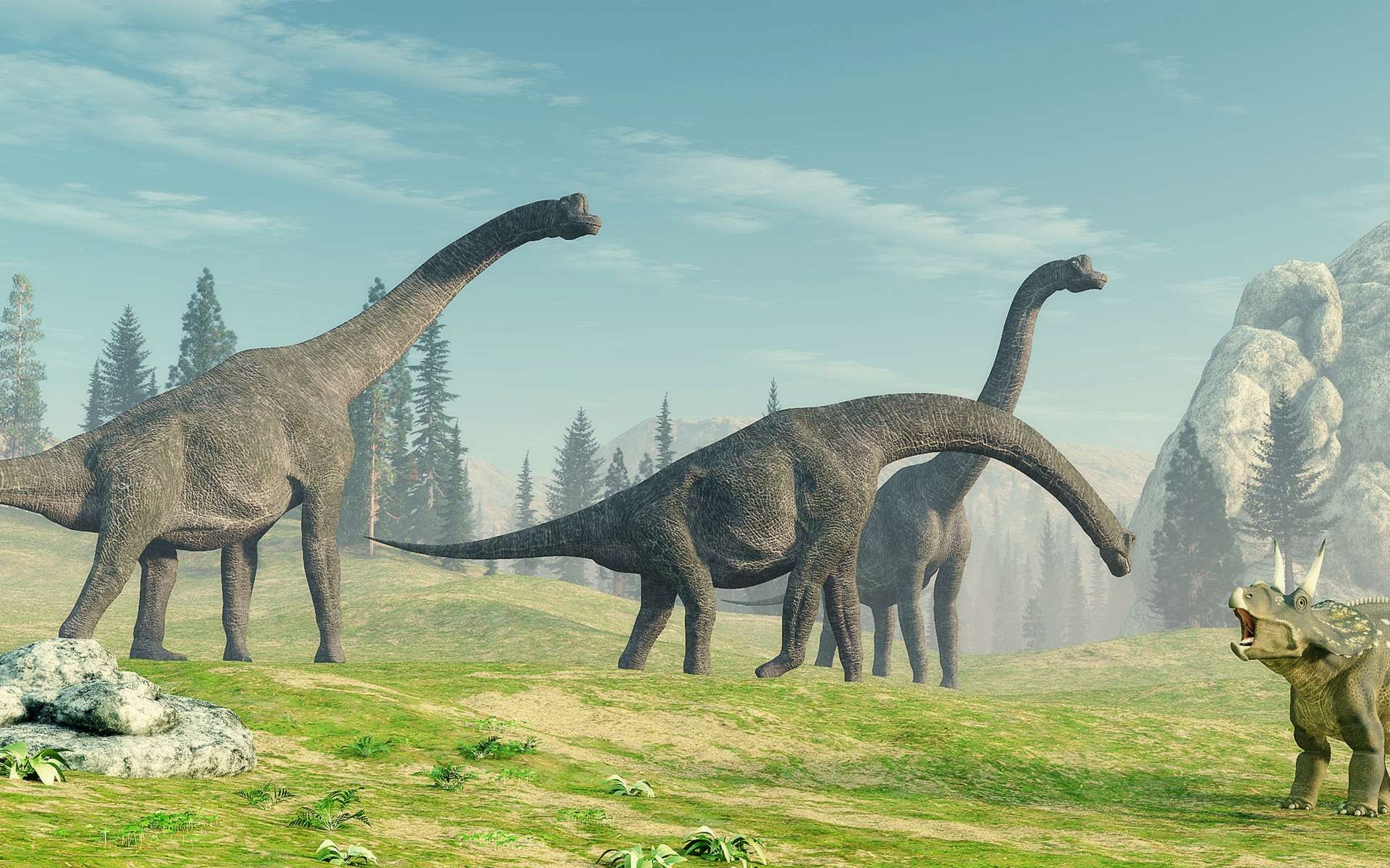 Brachiosaurus est un genre de sauropodes emblématique du Jurassique et du Crétacé. © Orlando Florin Rosu, Adobe Stock