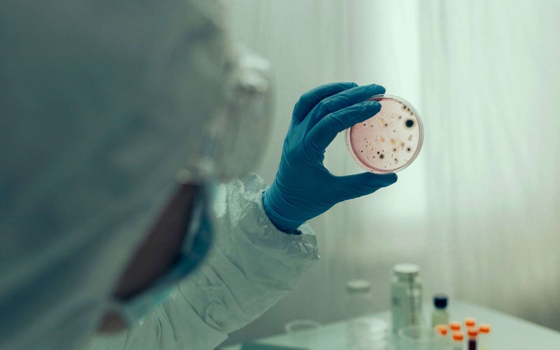 Une nouvelle souche du choléra à Mayotte met la planète en alerte, car elle pourrait être impossible à traiter !