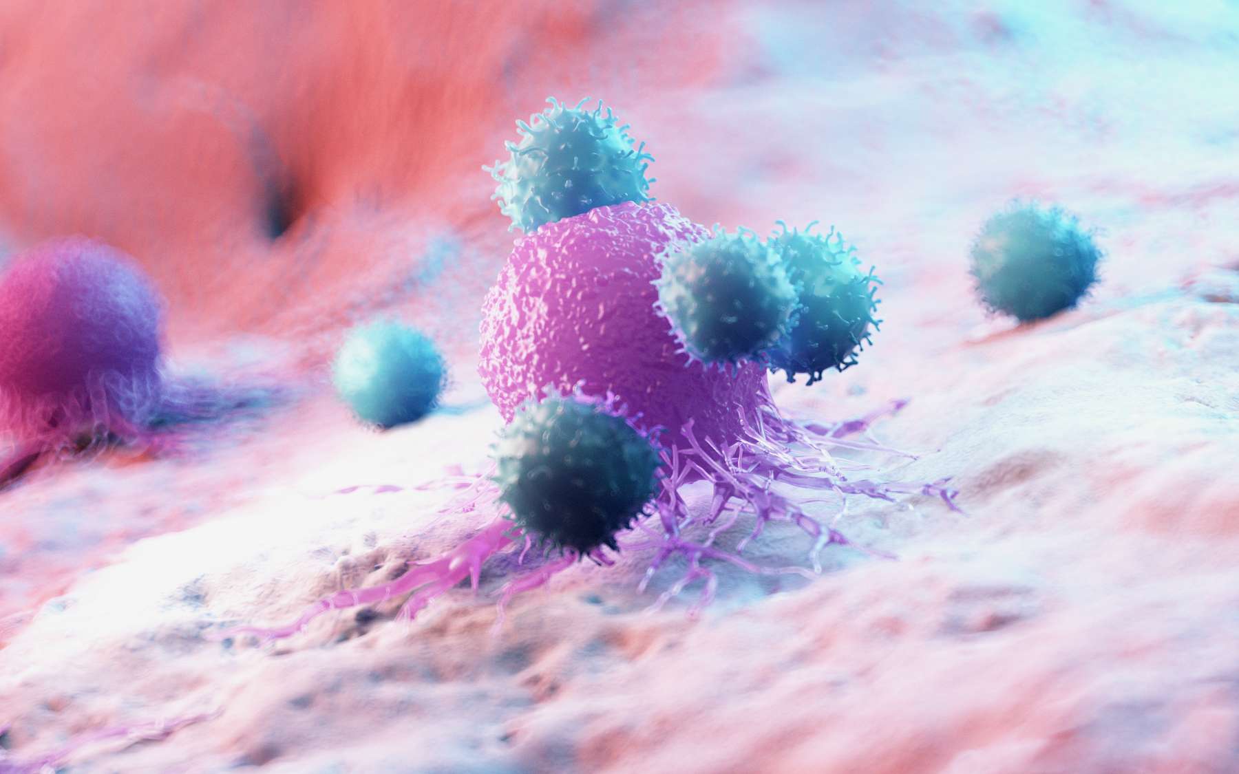 Illustration en 3D de lymphocytes attaquant une cellule cancéreuse. © Sebastian Kaulitzki, Adobe Stock