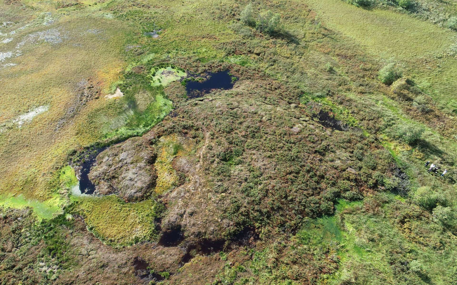 Inquiétant : le plus important permafrost de Scandinavie est en passe de disparaître