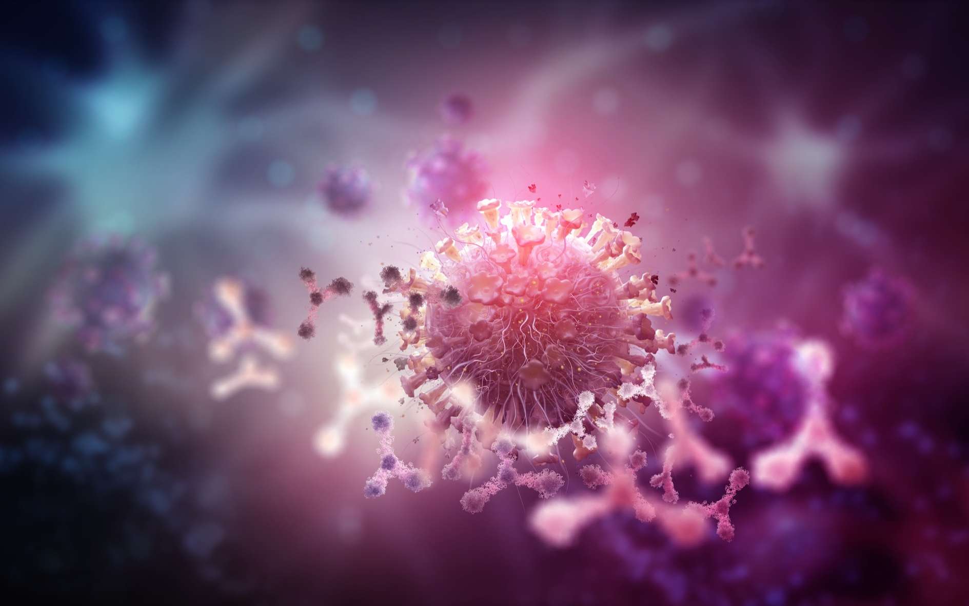 De l'importance de comprendre la réponse immunitaire innée précoce. © Siarhei, Adobe Stock