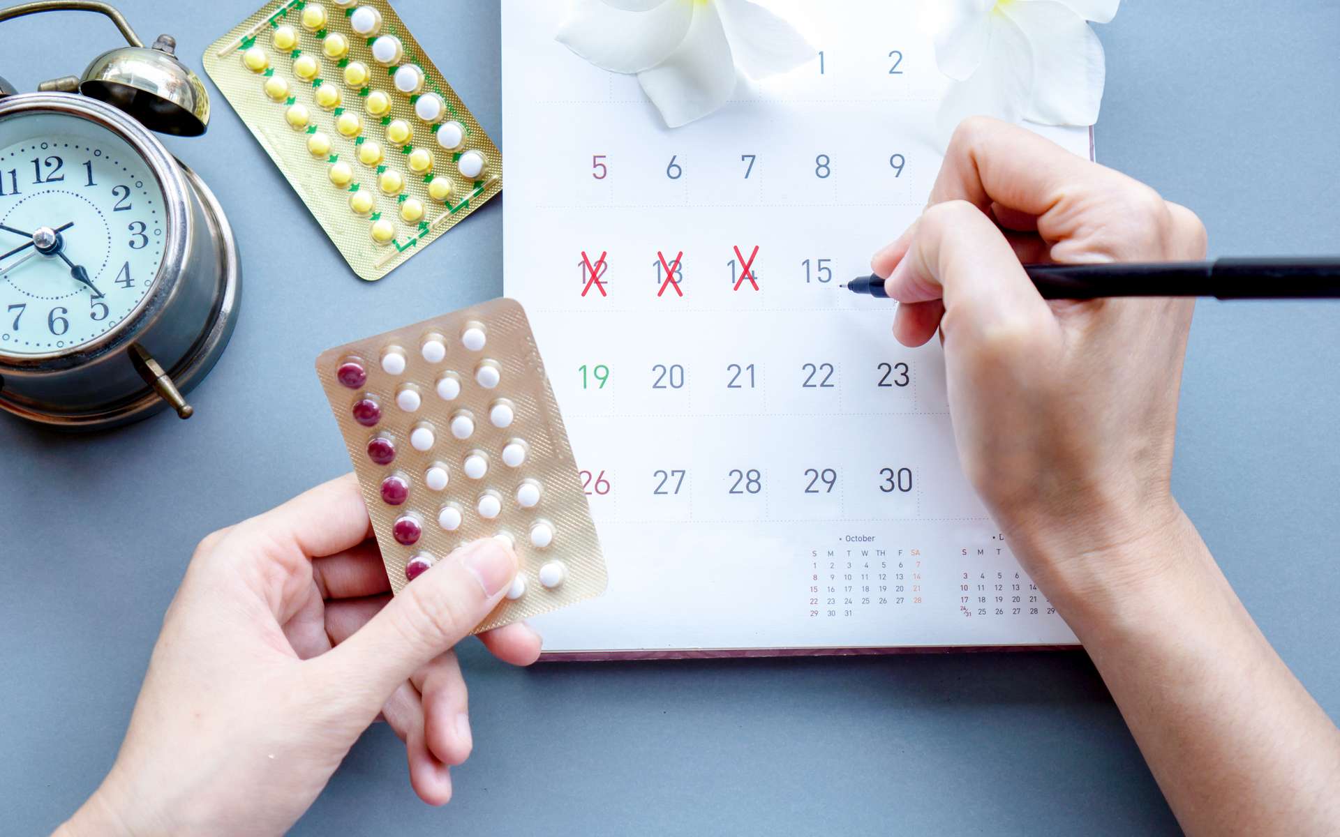 Que faire en cas d'oubli de la pilule contraceptive ? © Doucefleur, Adobe Stock