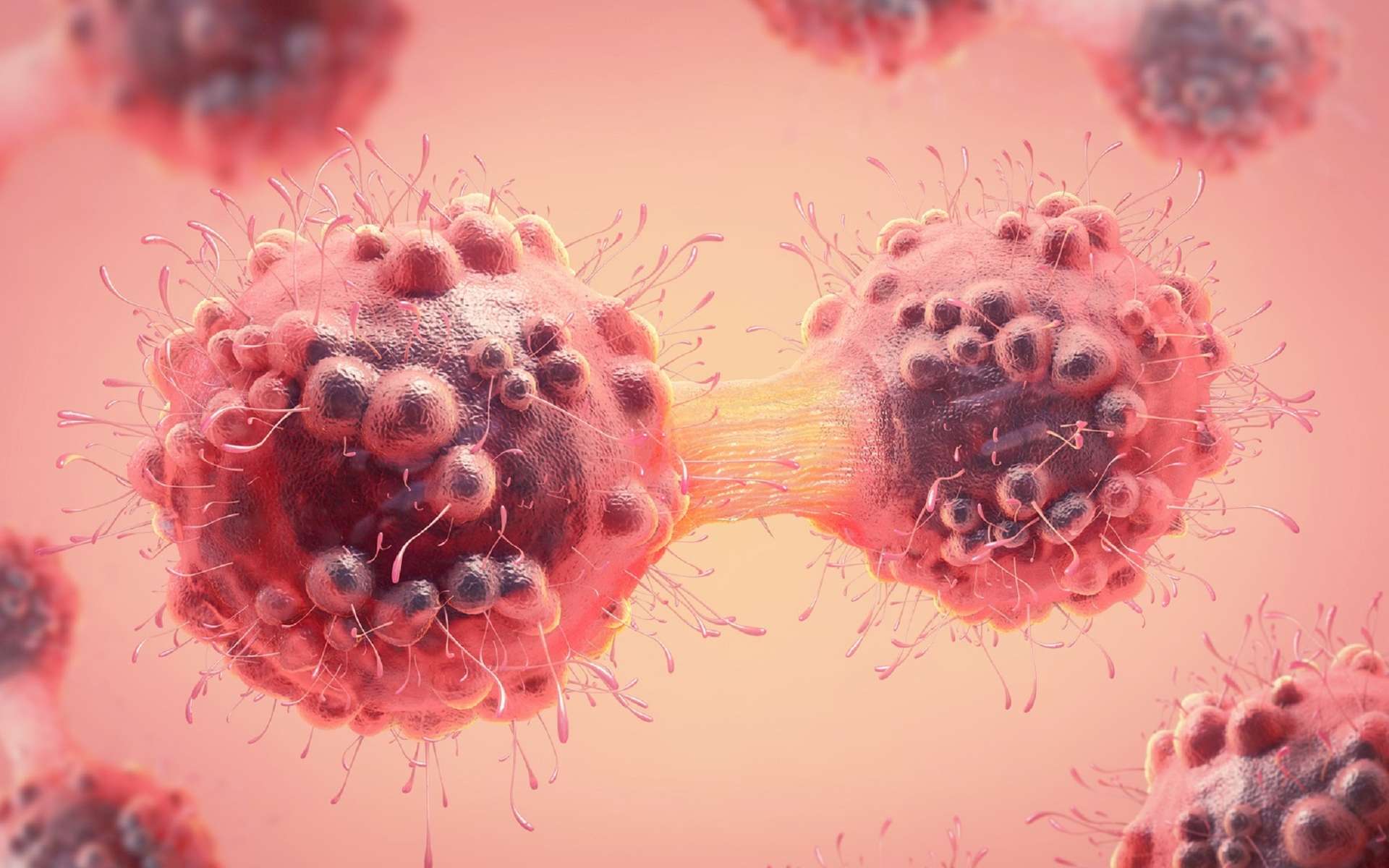 Les gènes suppresseurs de tumeurs empêchent la prolifération des cellules tumorales. © Christoph Burgstedt, Fotolia