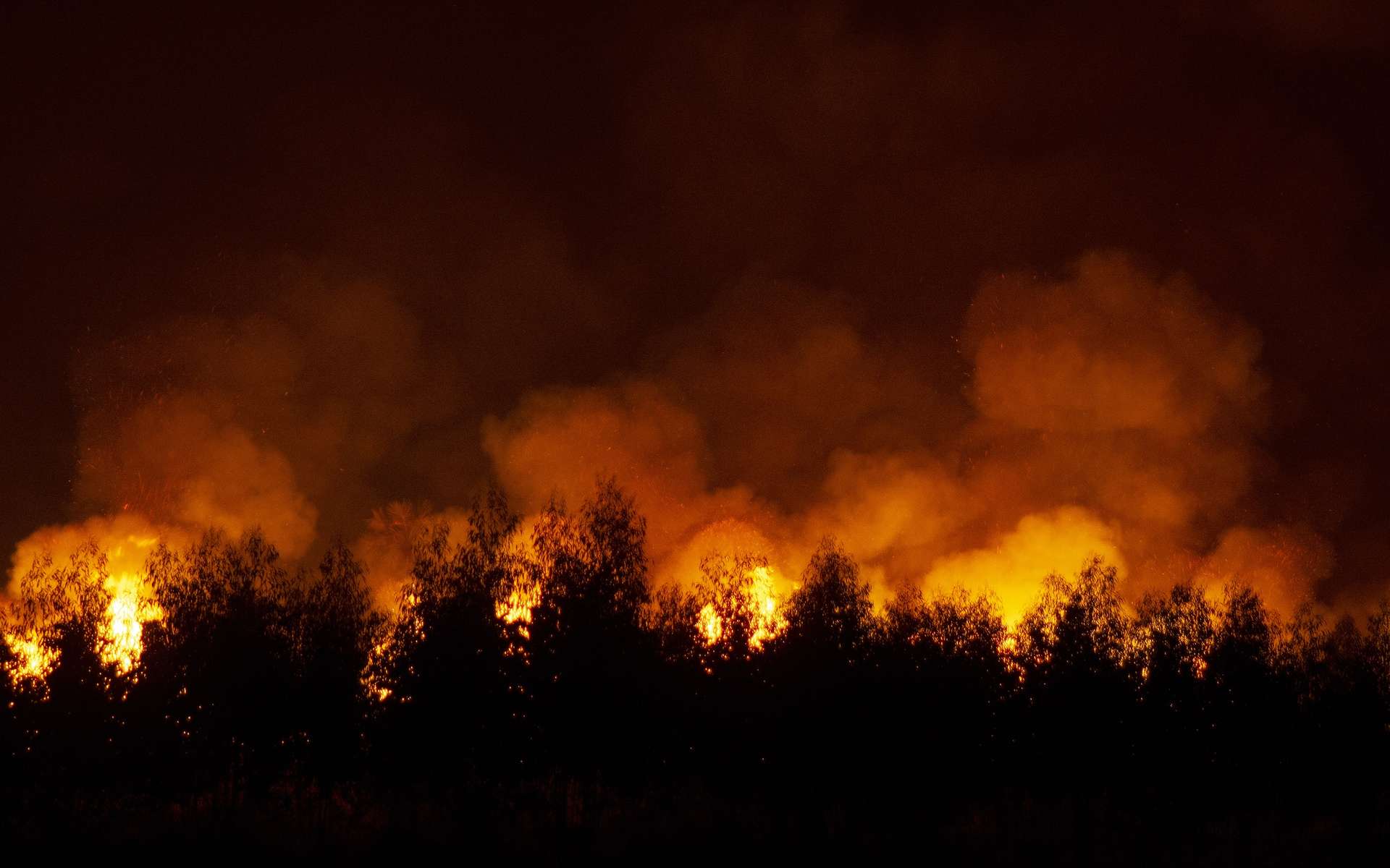 L'été 2021 a été marqué de nombreux feux de forêts hors de contrôle dans l'hémisphère nord. La Californie continue d'être menacée par les flammes. © pandpstock001, Adobe Stock